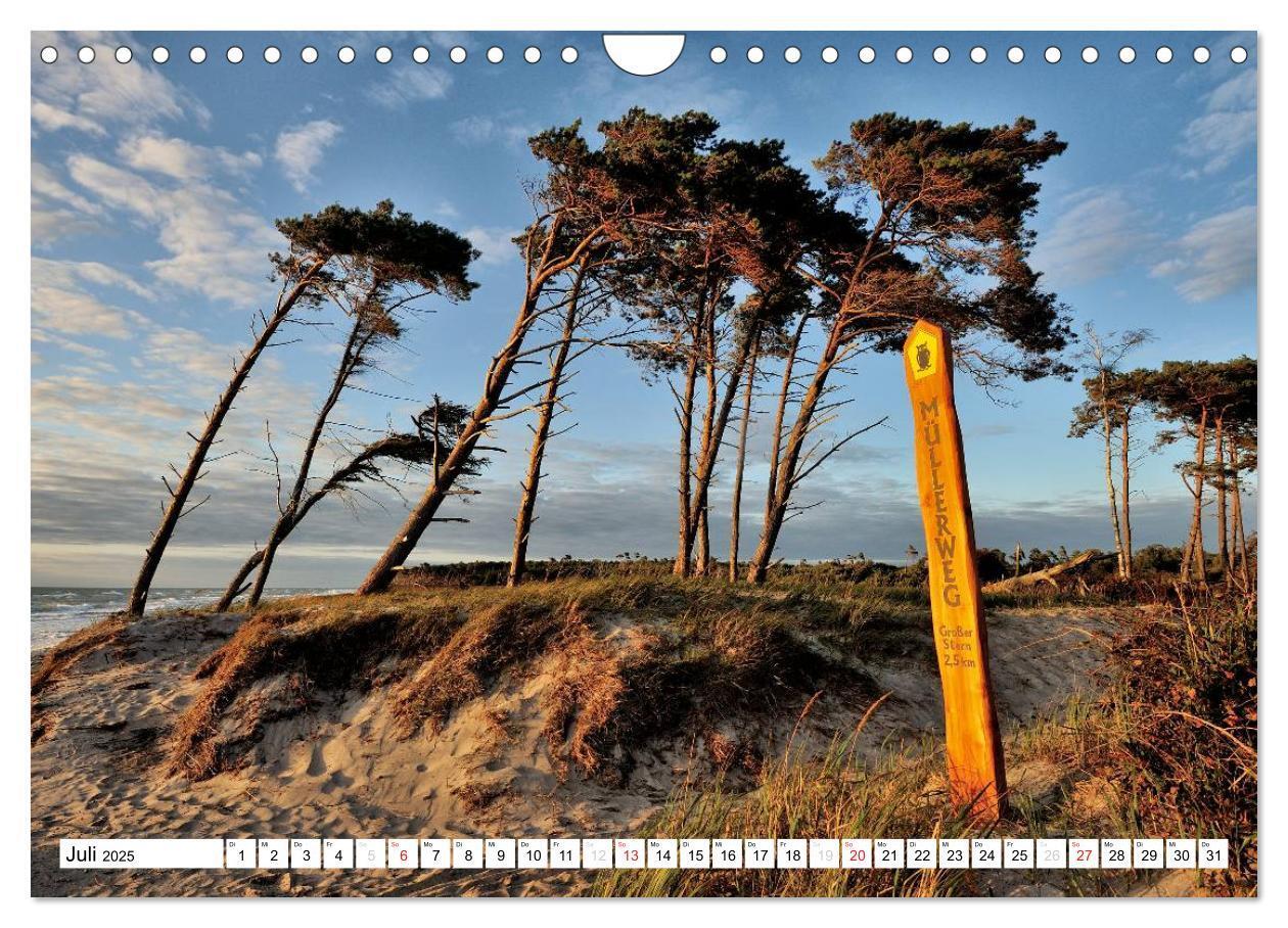 Bild: 9783435476152 | Naturschauspiel Darßer Weststrand (Wandkalender 2025 DIN A4 quer),...