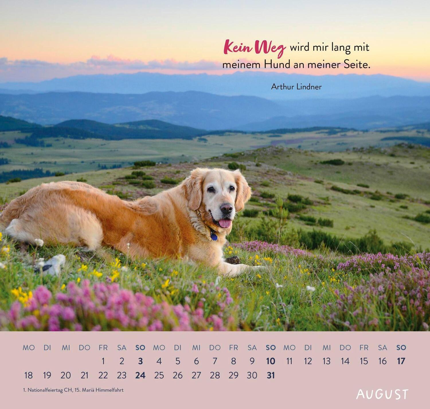 Bild: 4036442011867 | Wandkalender 2025: Für Hundefreunde | Groh Verlag | Kalender | 12 S.