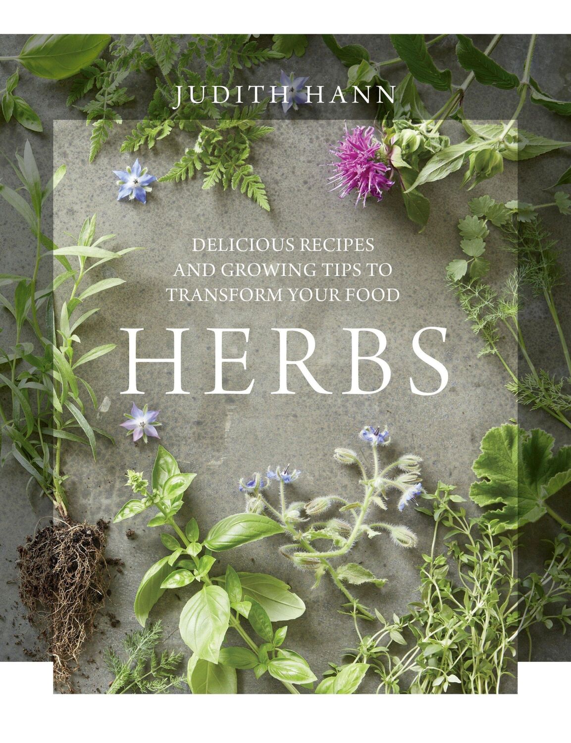 Cover: 9781848992825 | Herbs | Judith Hann | Buch | Einband - fest (Hardcover) | Englisch