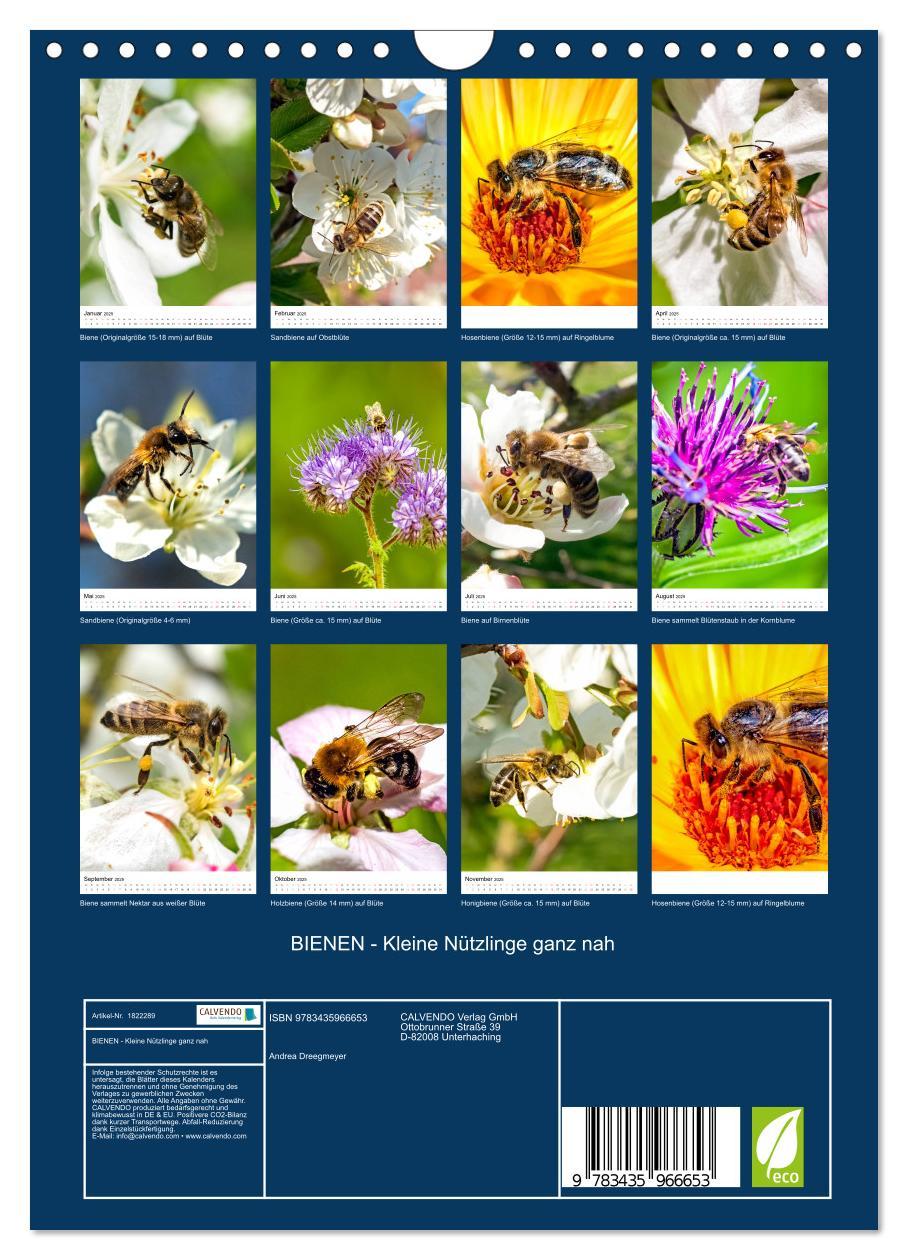 Bild: 9783435966653 | BIENEN - Kleine Nützlinge ganz nah (Wandkalender 2025 DIN A4 hoch),...