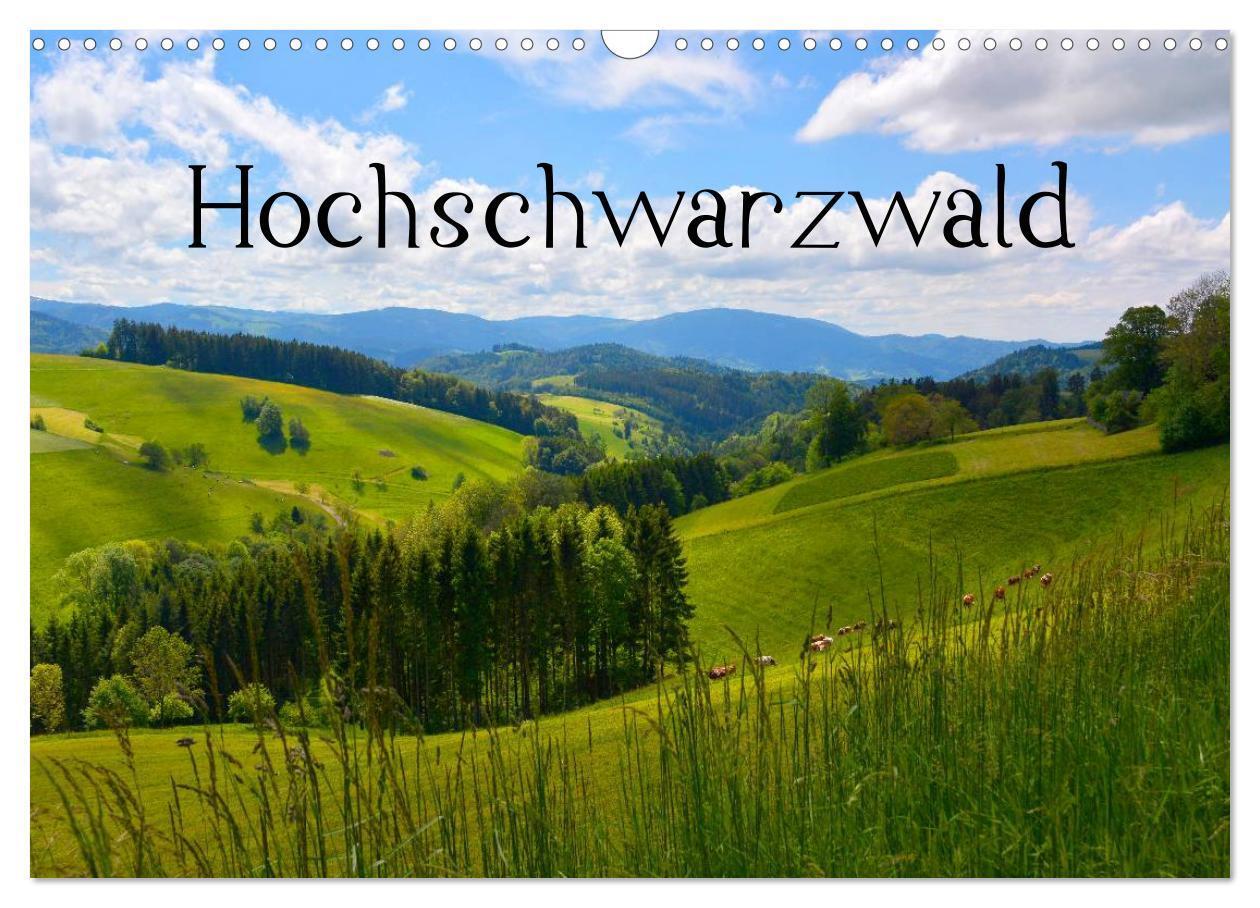 Cover: 9783435693313 | Hochschwarzwald (Wandkalender 2025 DIN A3 quer), CALVENDO...