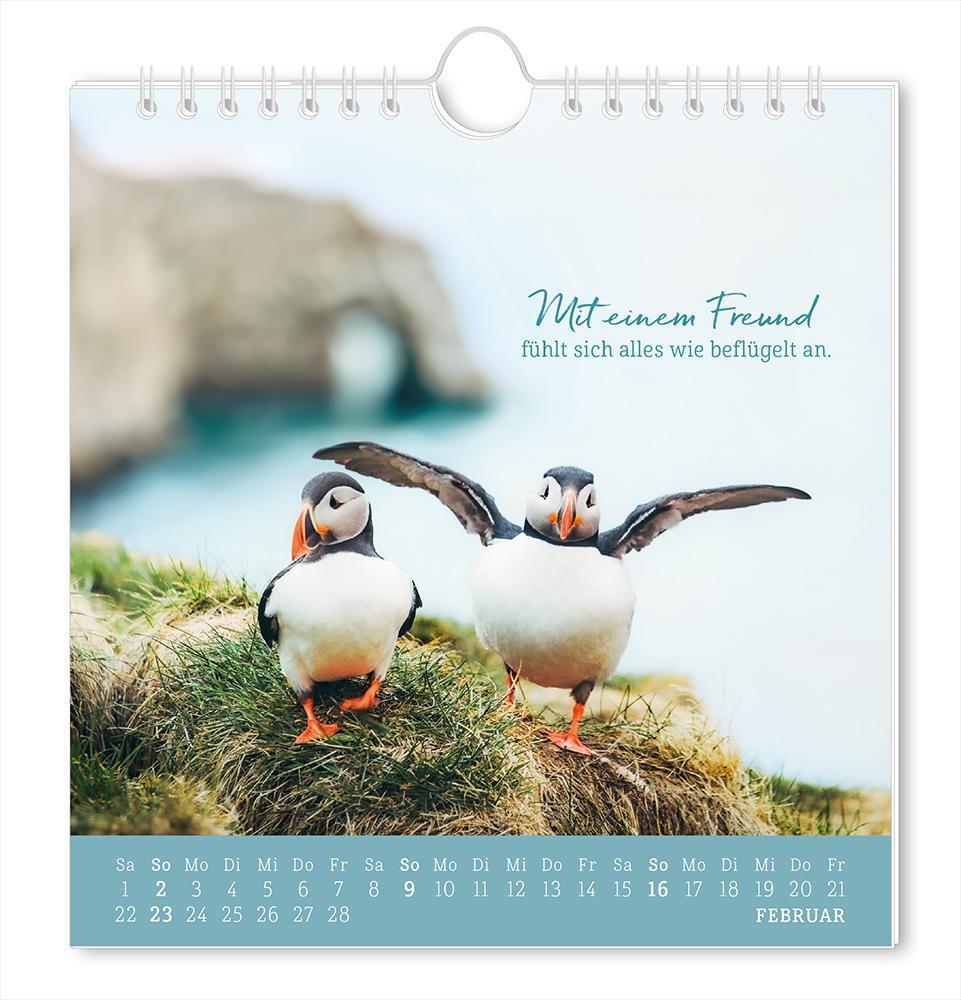 Bild: 9783986361167 | Postkartenkalender 2025 Strandgut | Postkartenkalender | Original