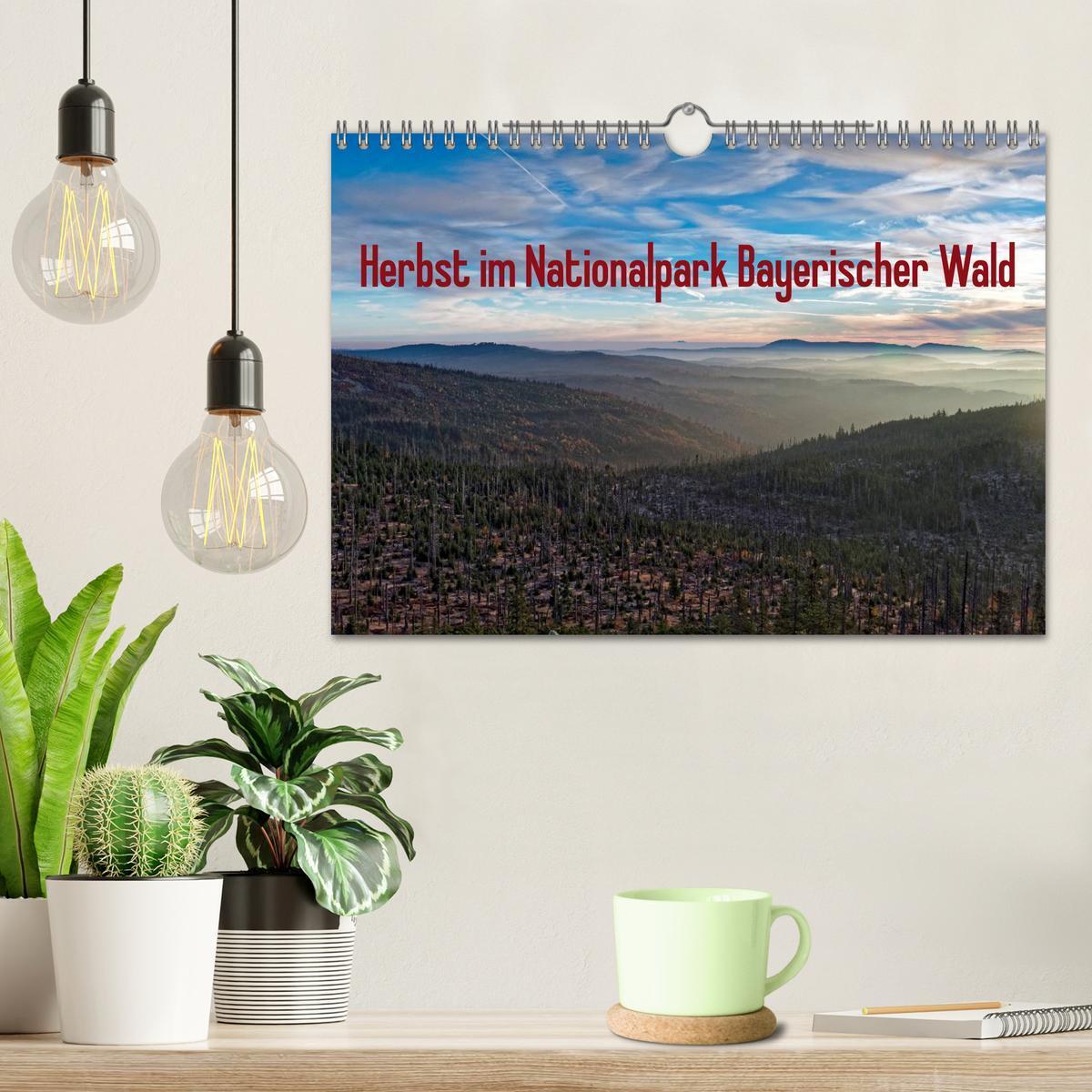 Bild: 9783435537990 | Herbst im Nationalpark Bayerischer Wald (Wandkalender 2025 DIN A4...