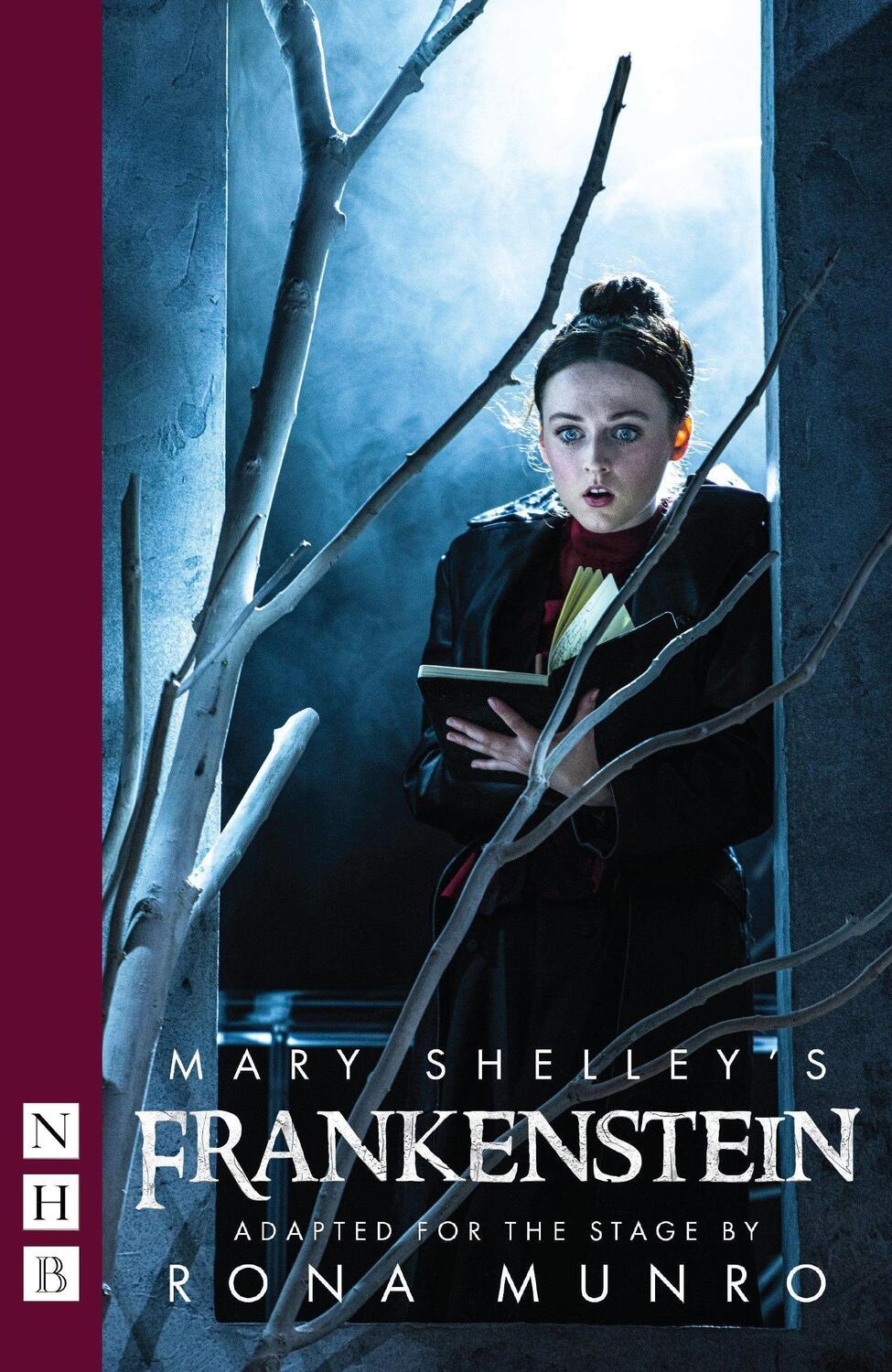 Cover: 9781848429178 | Mary Shelley's Frankenstein | Mary Shelley (u. a.) | Taschenbuch