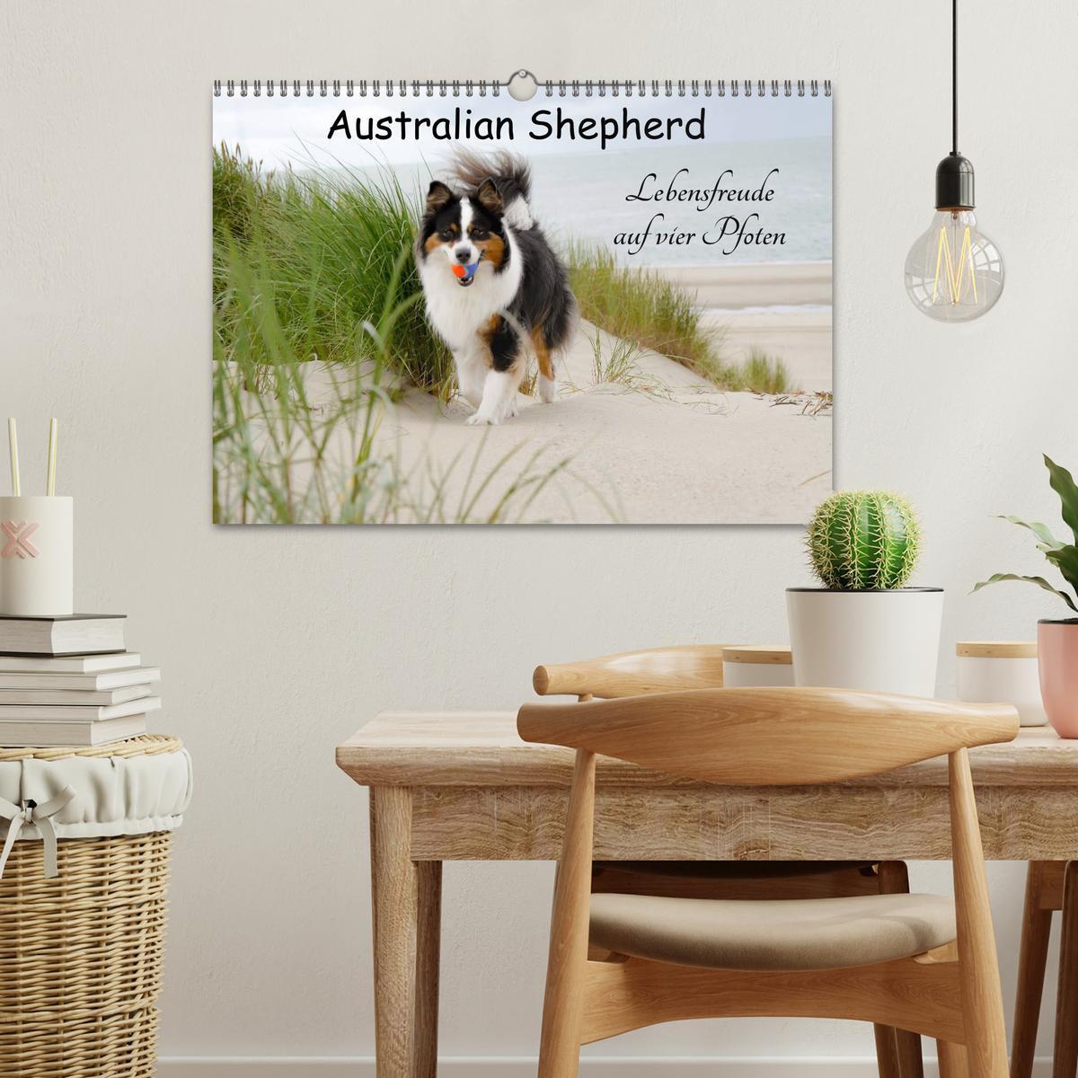 Bild: 9783435553129 | Australian Shepherd - Lebensfreude auf vier Pfoten (Wandkalender...