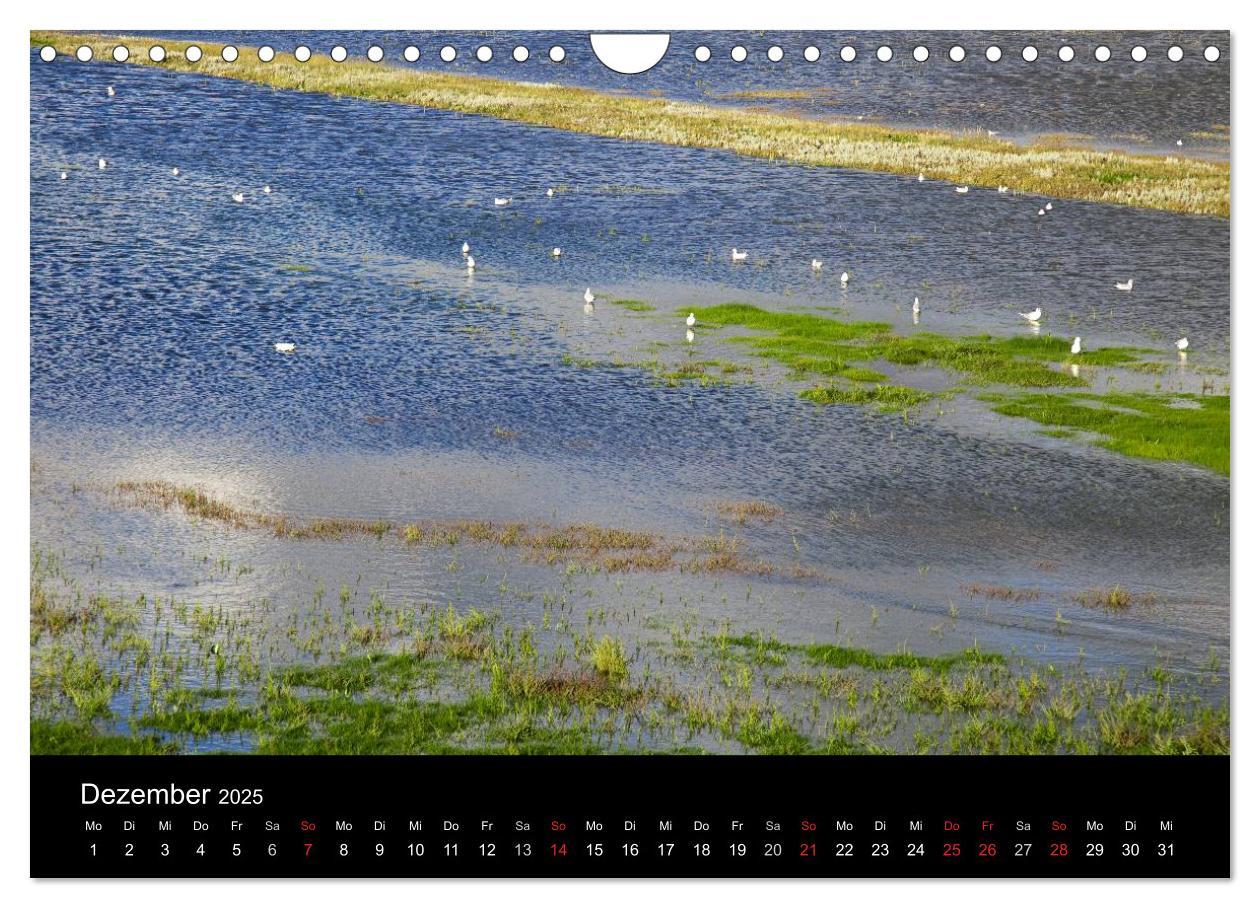 Bild: 9783435768530 | Dänemarks Nordseeküste (Wandkalender 2025 DIN A4 quer), CALVENDO...