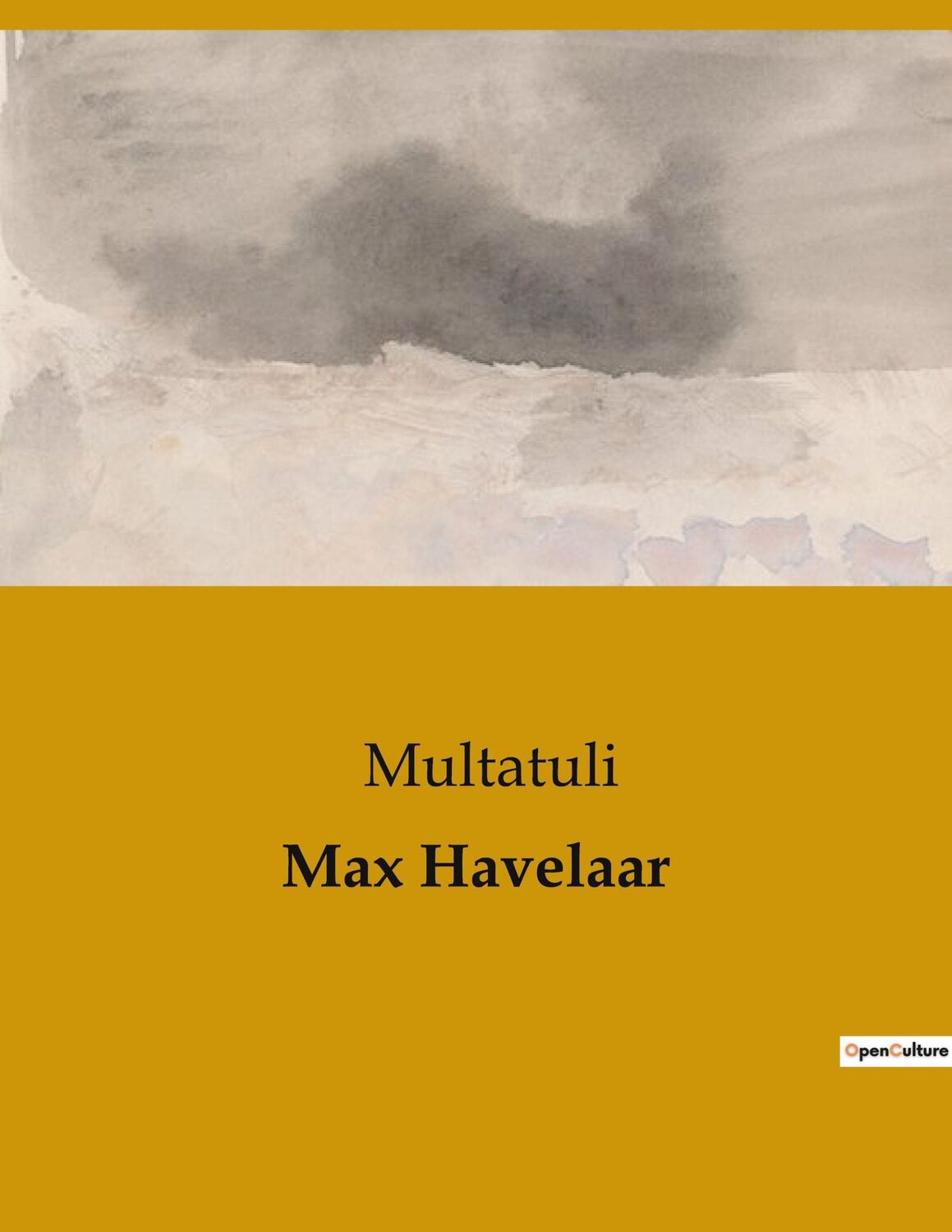 Cover: 9791041903481 | Max Havelaar | Multatuli | Taschenbuch | Paperback | 198 S. | Deutsch