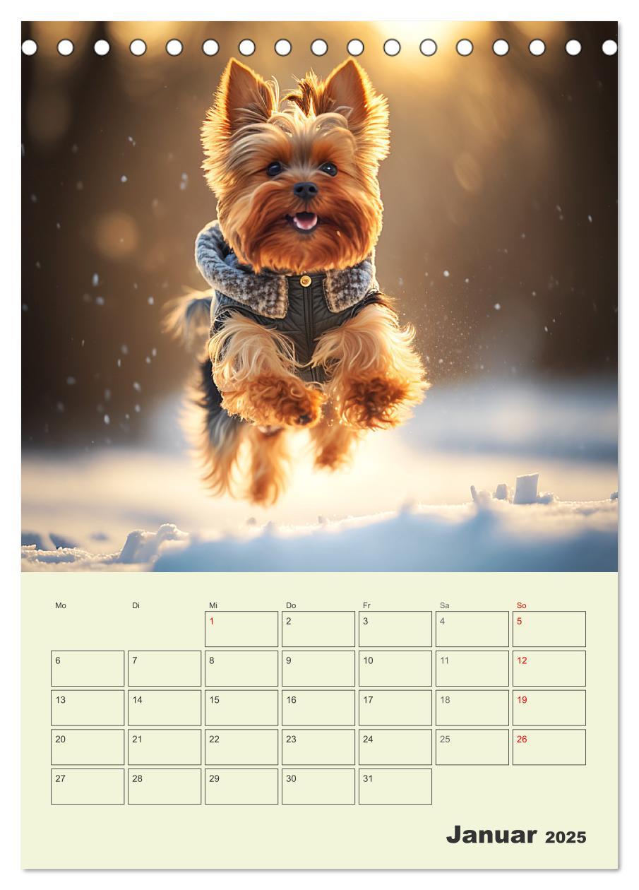 Bild: 9783435874705 | Yorkshire Terrier. Fröhliche Energiebündel in Aktion (Tischkalender...