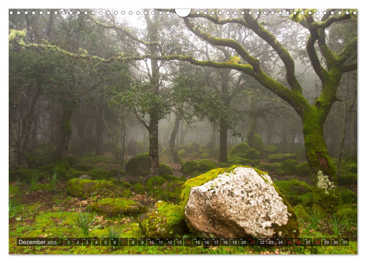 Bild: 9783435263745 | Sardinien Sardigna Sardegna Sardenya 2025 (Wandkalender 2025 DIN A3...