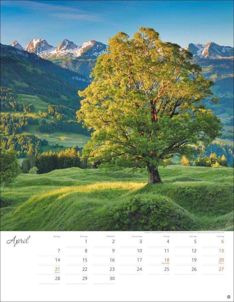 Bild: 9783756405268 | Jenseits der Hast Posterkalender 2025 | Kalender | Spiralbindung