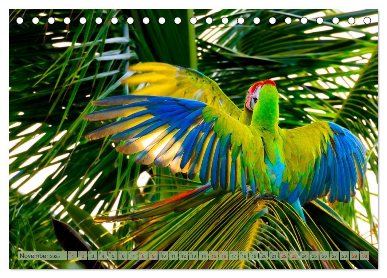 Bild: 9783457163610 | Tropenparadies zwischen Ozeanen Costa Rica (Tischkalender 2025 DIN...