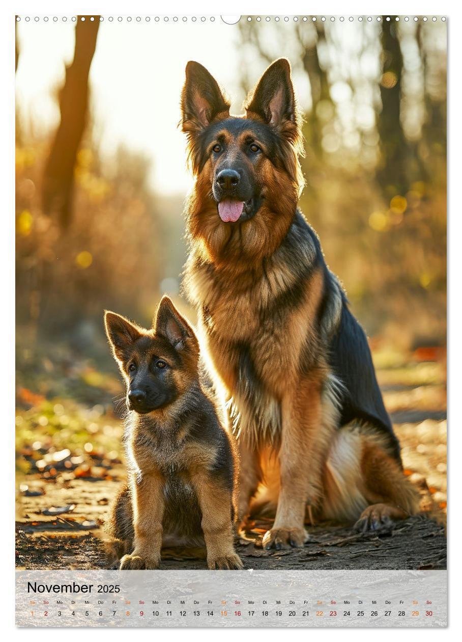 Bild: 9783383773464 | Deutscher Schäferhund - mutig und zuverlässig (hochwertiger Premium...