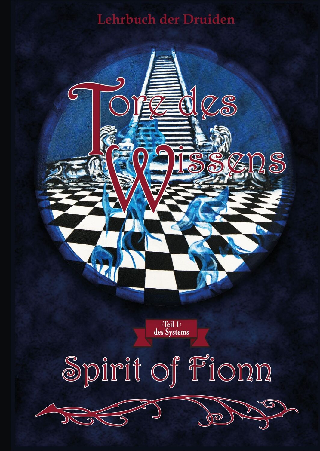 Cover: 9783741281150 | Tore des Wissens | Spirit of Fionn 1 | Birgit Wenzel (u. a.) | Buch