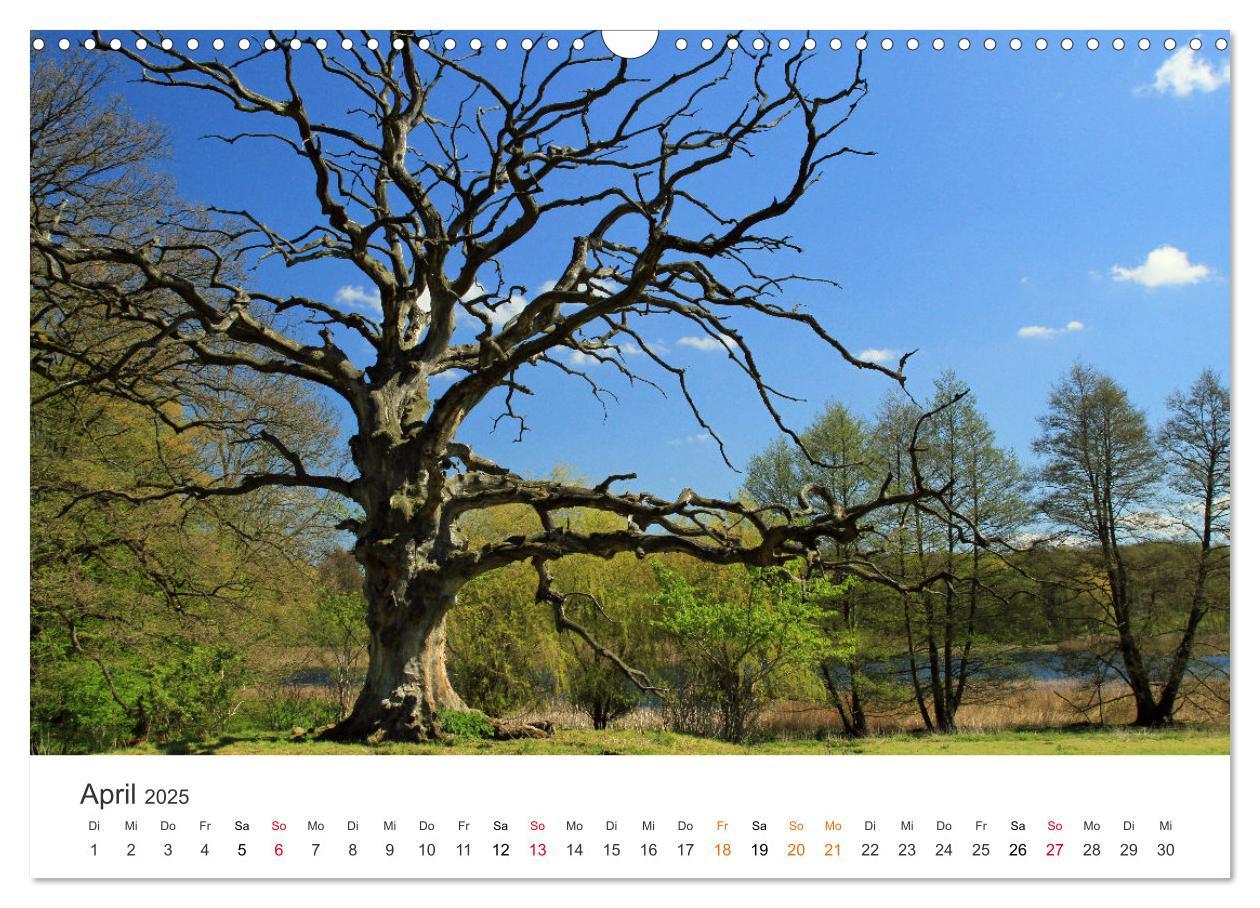 Bild: 9783435057702 | Faszination Natur - Bilder aus Mecklenburg-Vorpommern (Wandkalender...