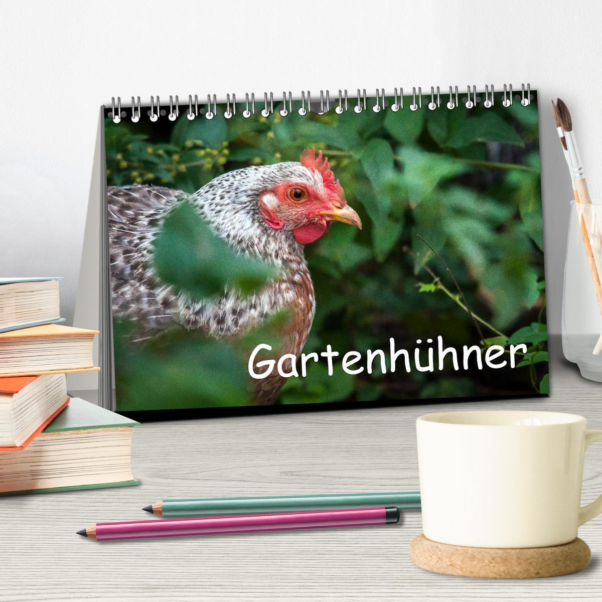 Bild: 9783435554263 | Gartenhühner (Tischkalender 2025 DIN A5 quer), CALVENDO Monatskalender