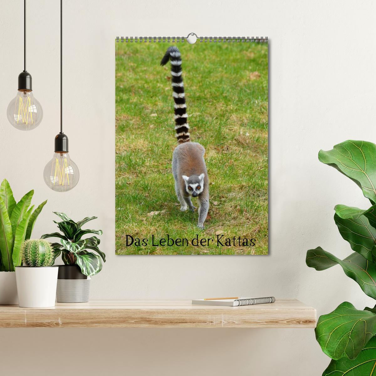 Bild: 9783457077177 | Das Leben der Kattas (Wandkalender 2025 DIN A3 hoch), CALVENDO...