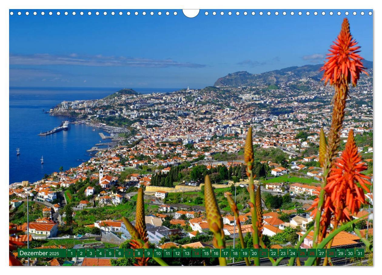 Bild: 9783383794223 | Madeira Blumeninsel im Atlantik (Wandkalender 2025 DIN A3 quer),...