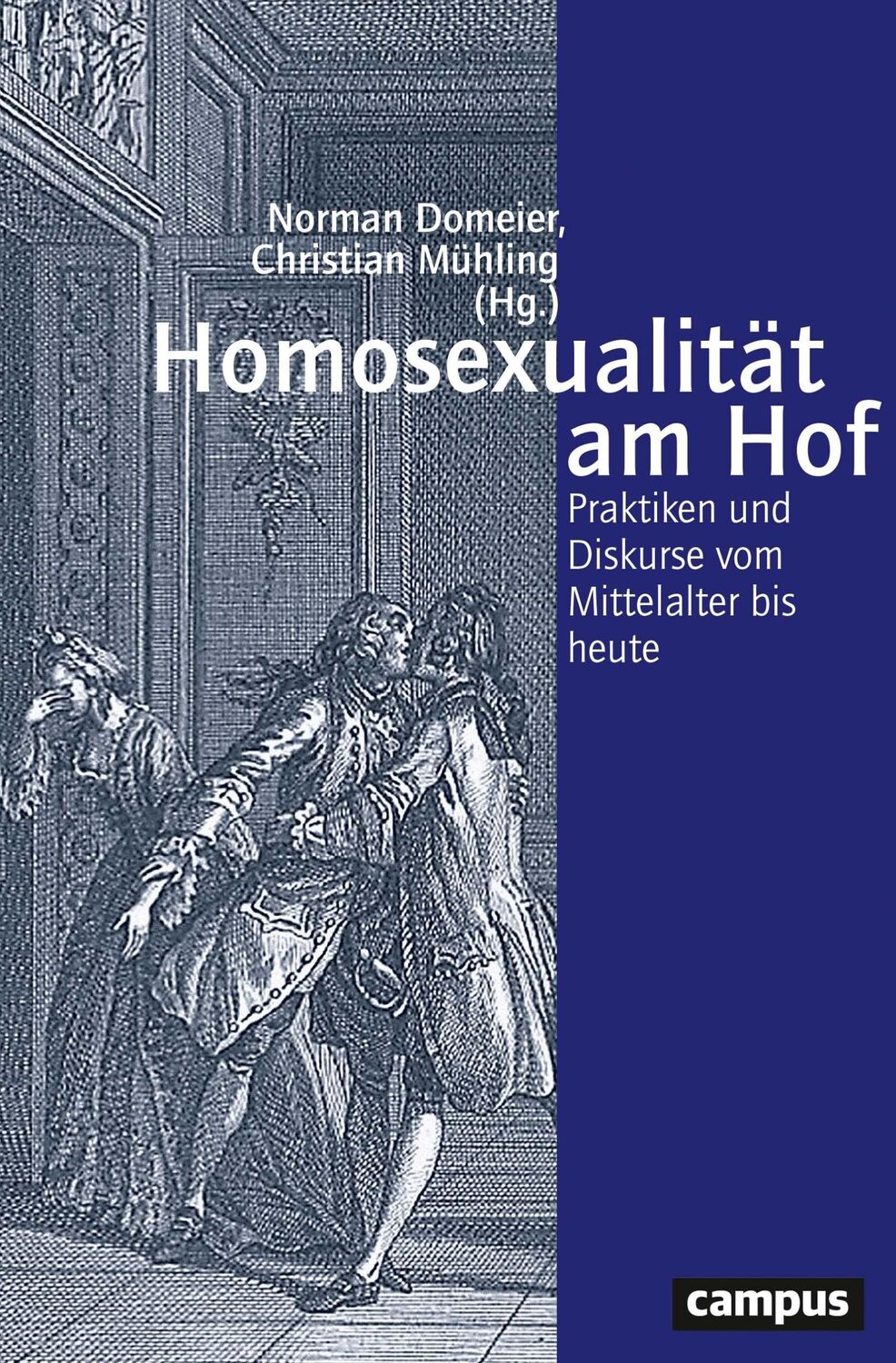 Cover: 9783593510767 | Homosexualität am Hof | Norman Domeier (u. a.) | Taschenbuch | 403 S.