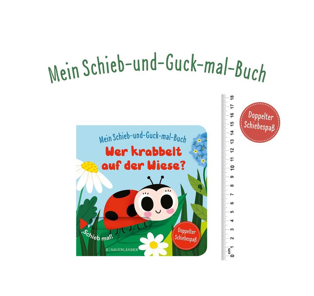 Bild: 9783737358170 | Mein Schieb &amp; Guck-mal-Buch: Wer krabbelt auf der Wiese? | Menge