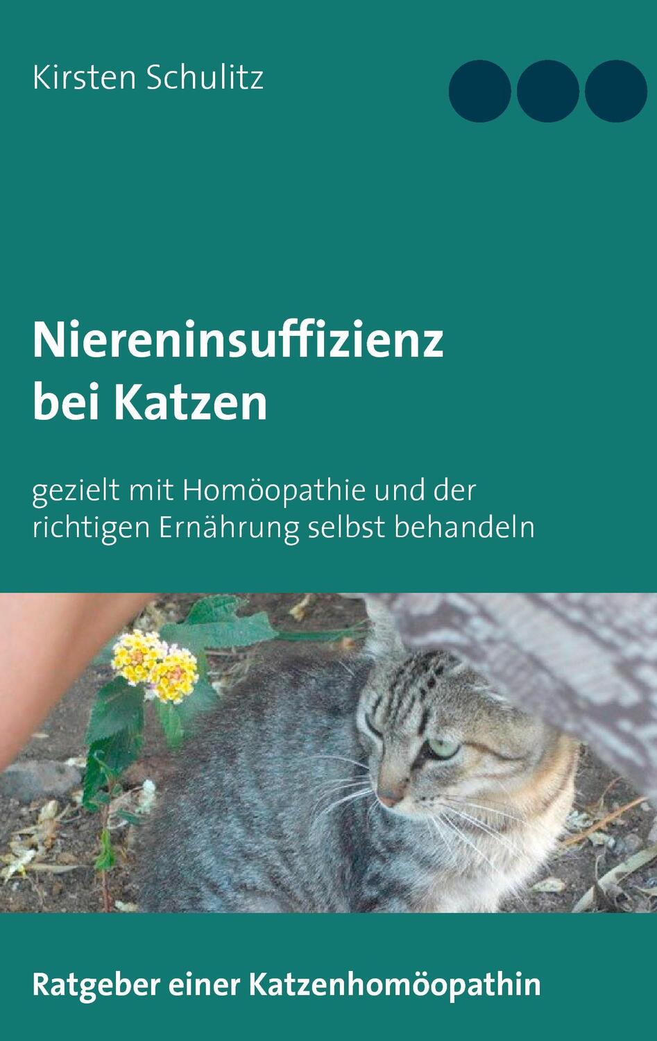 Cover: 9783744887991 | Niereninsuffizienz bei Katzen | Kirsten Schulitz | Taschenbuch | 44 S.