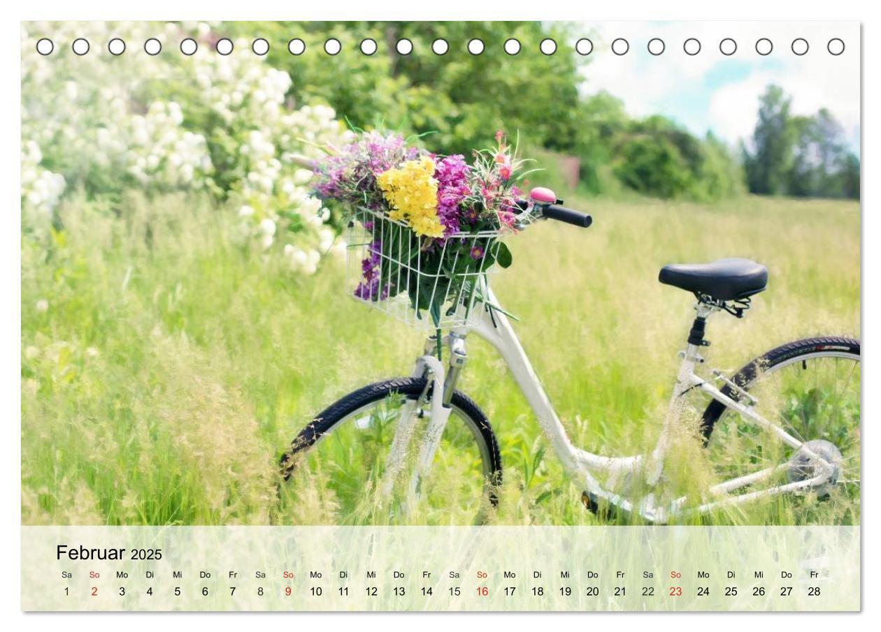 Bild: 9783435553938 | Landhaus-Romantik. Die Farben des Sommers (Tischkalender 2025 DIN...