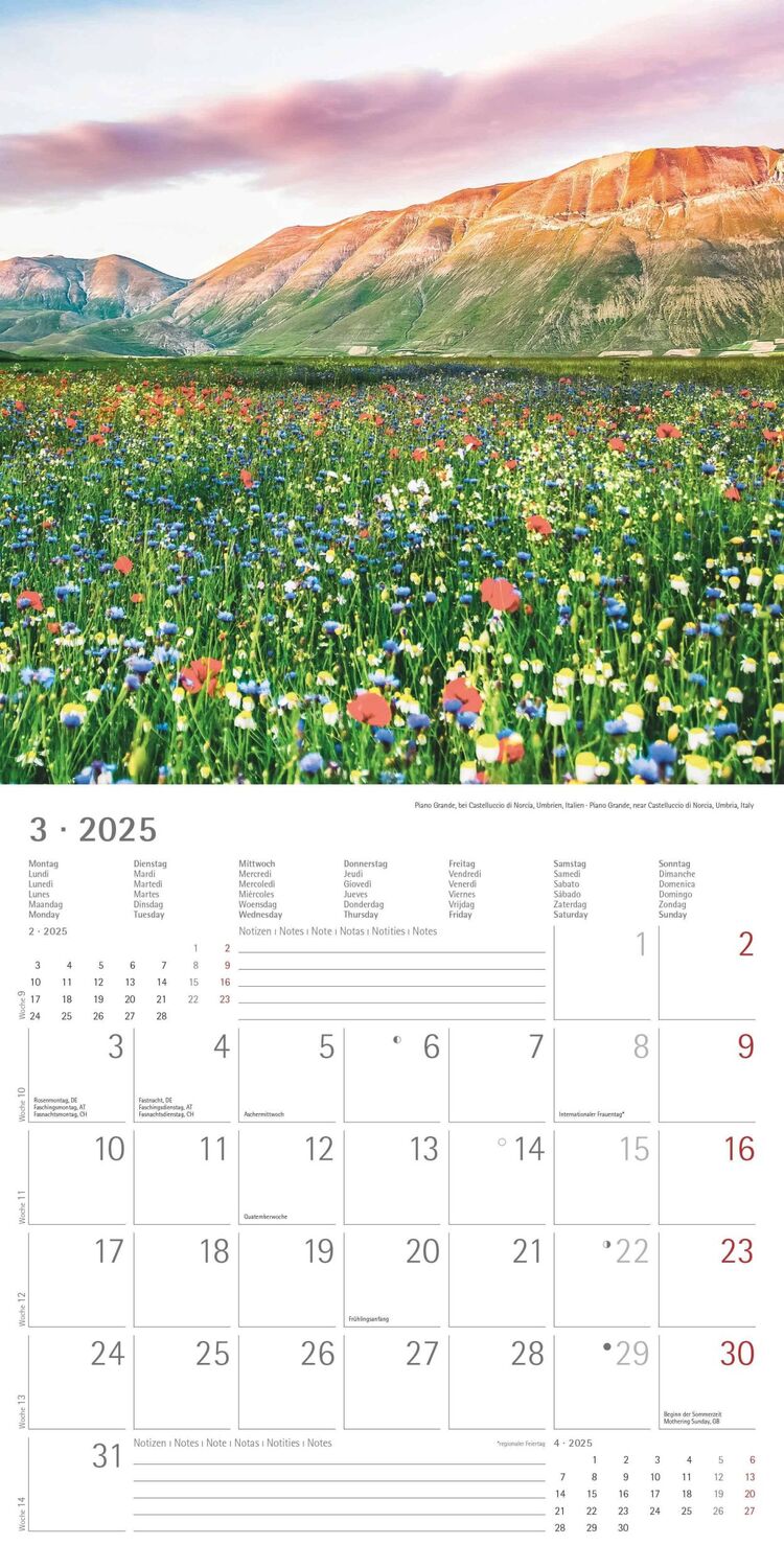 Bild: 4251732340865 | Emotions 2025 - Broschürenkalender 30x30 cm (30x60 geöffnet) -...