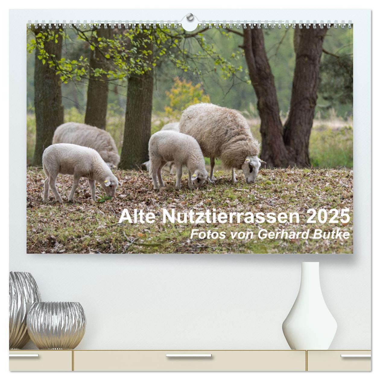 Cover: 9783435348459 | Alte Nutztierrassen 2025 (hochwertiger Premium Wandkalender 2025...