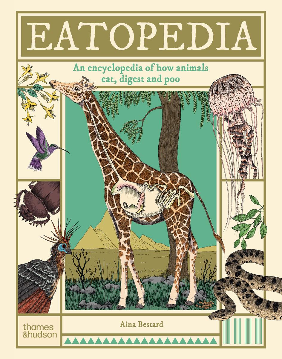 Cover: 9780500653869 | Eatopedia | An encyclopedia of how animals eat, digest and poo | Buch