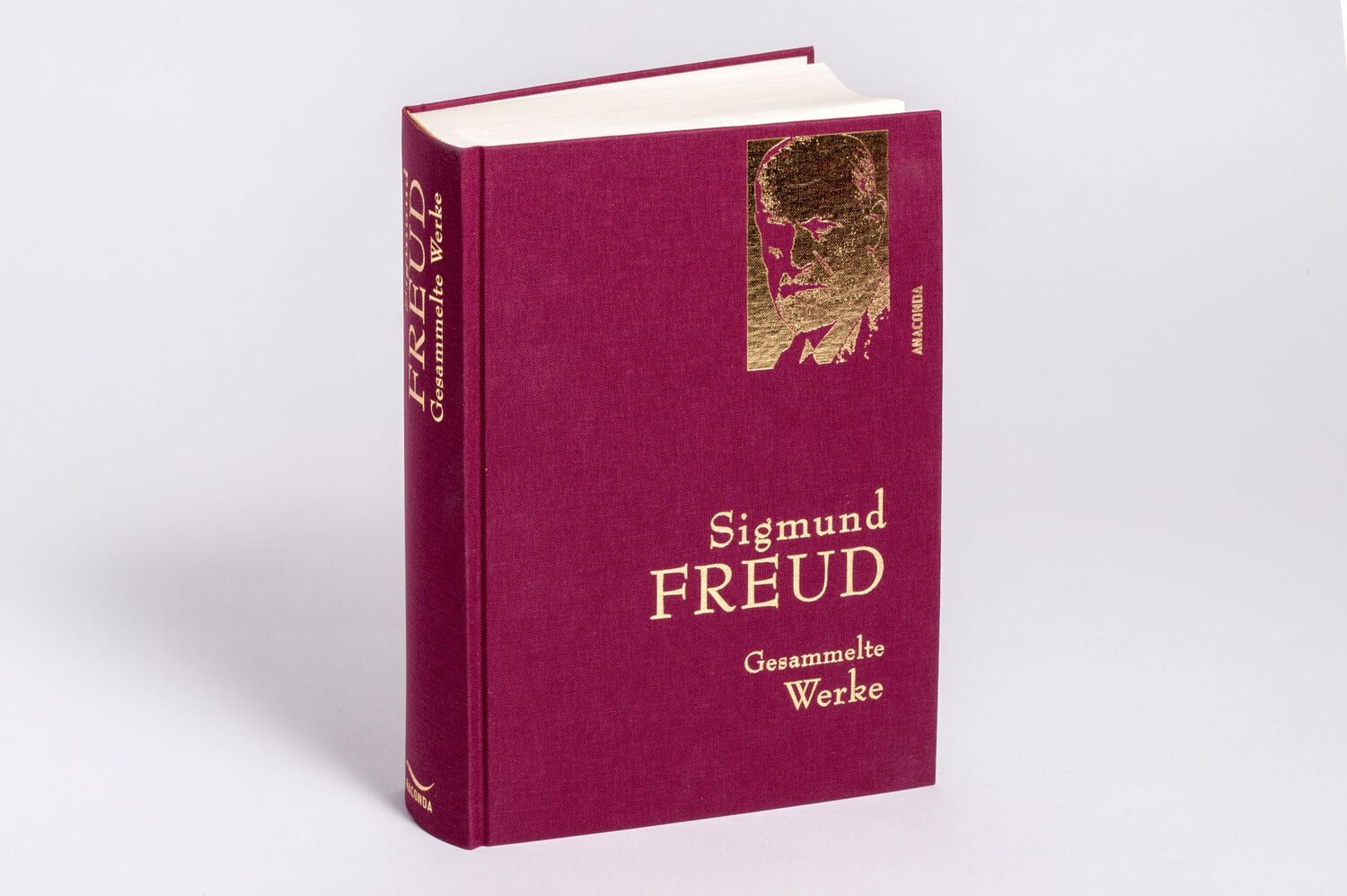 Bild: 9783730600870 | Sigmund Freud - Gesammelte Werke | Sigmund Freud | Buch | 1008 S.