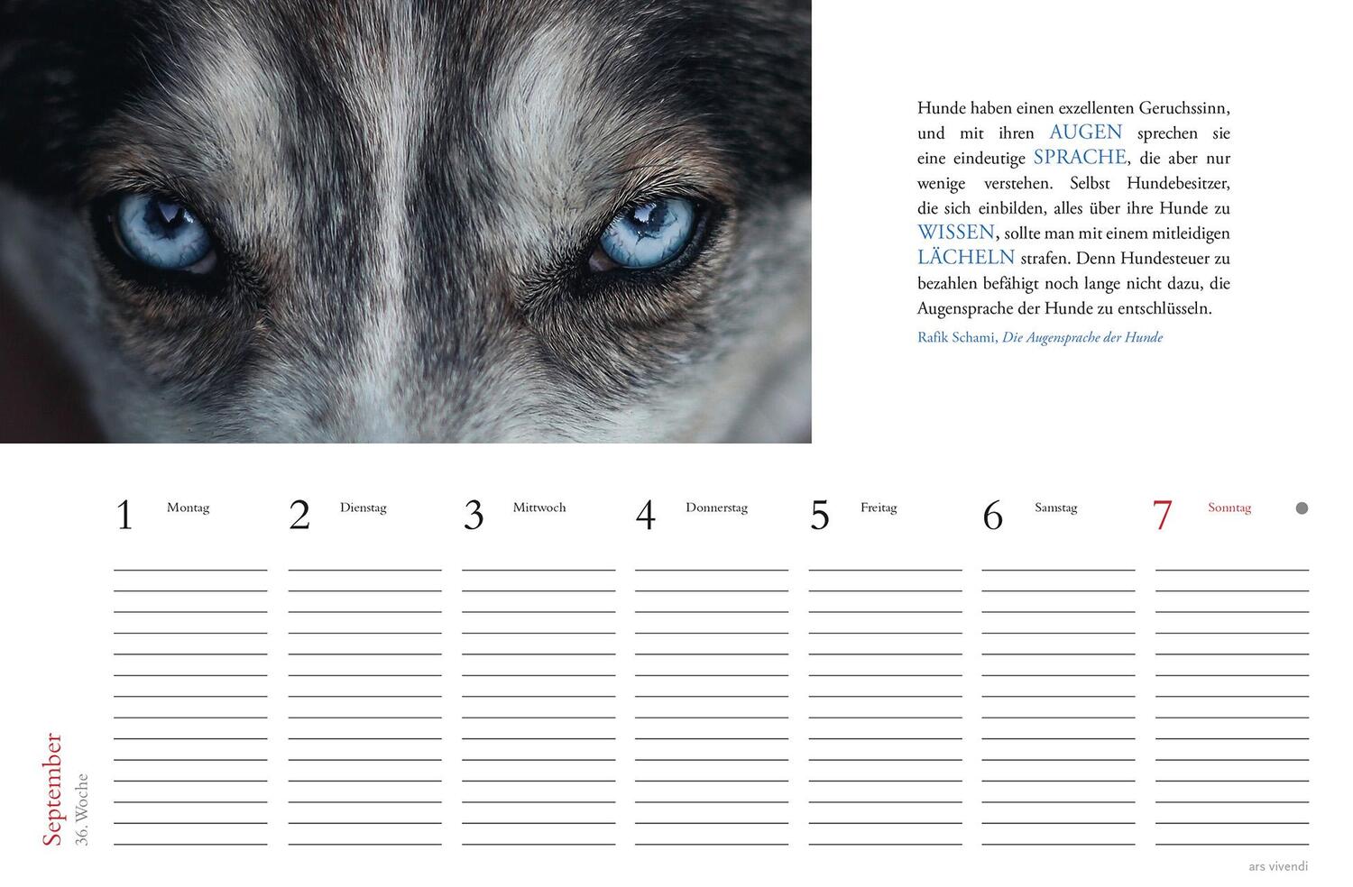 Bild: 9783747205709 | Tischkalender Hunde 2025 | Tischkalender | ars vivendi verlag | 53 S.