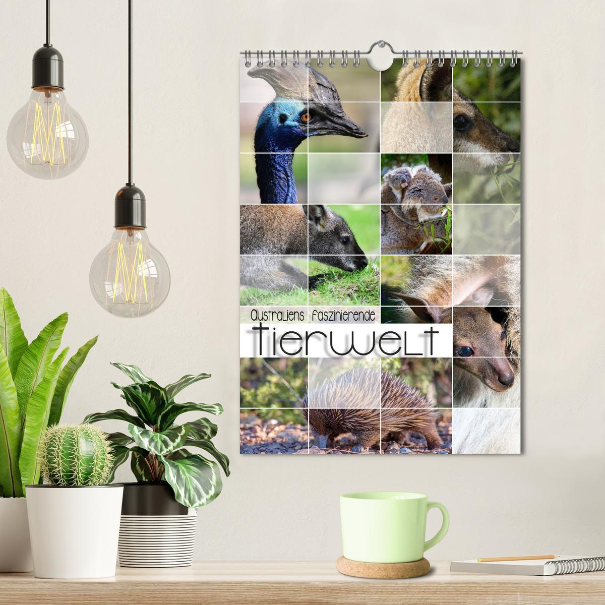 Bild: 9783435932603 | Australiens faszinierende Tierwelt (Wandkalender 2025 DIN A4 hoch),...