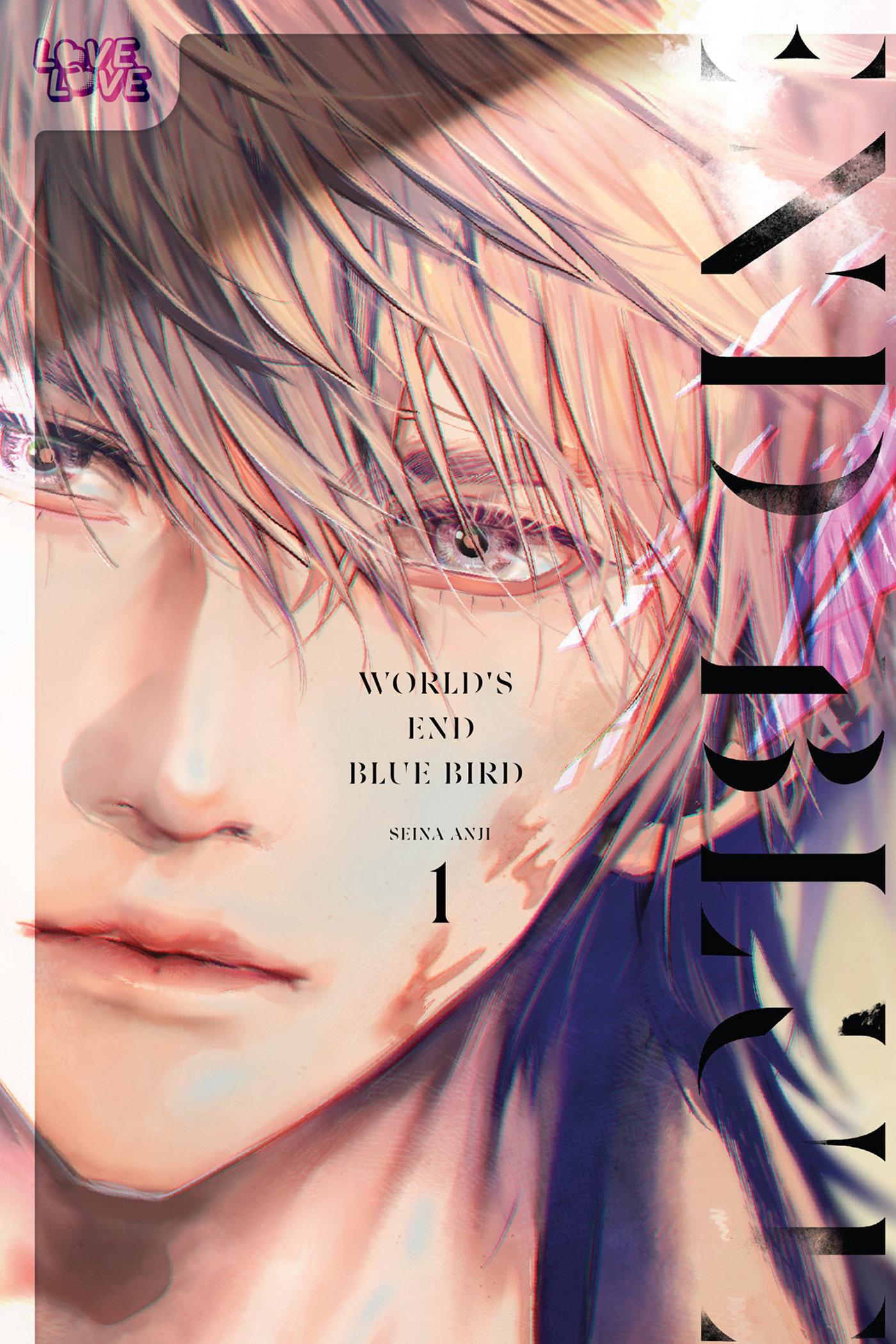 Cover: 9781427878182 | World's End Blue Bird, Volume 1 | Volume 1 | Anji Seina | Taschenbuch