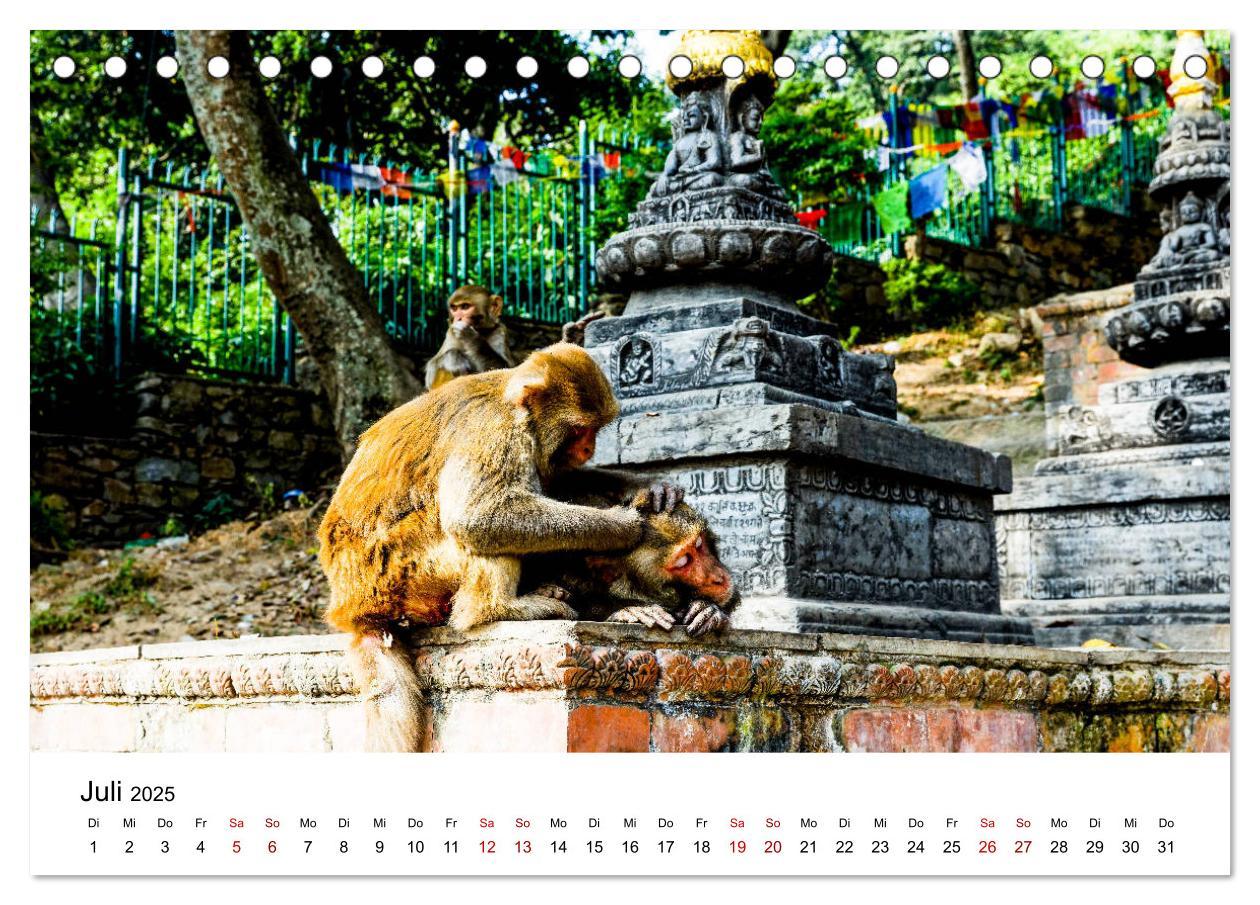 Bild: 9783435139965 | Impressionen aus Kathmandu (Tischkalender 2025 DIN A5 quer),...