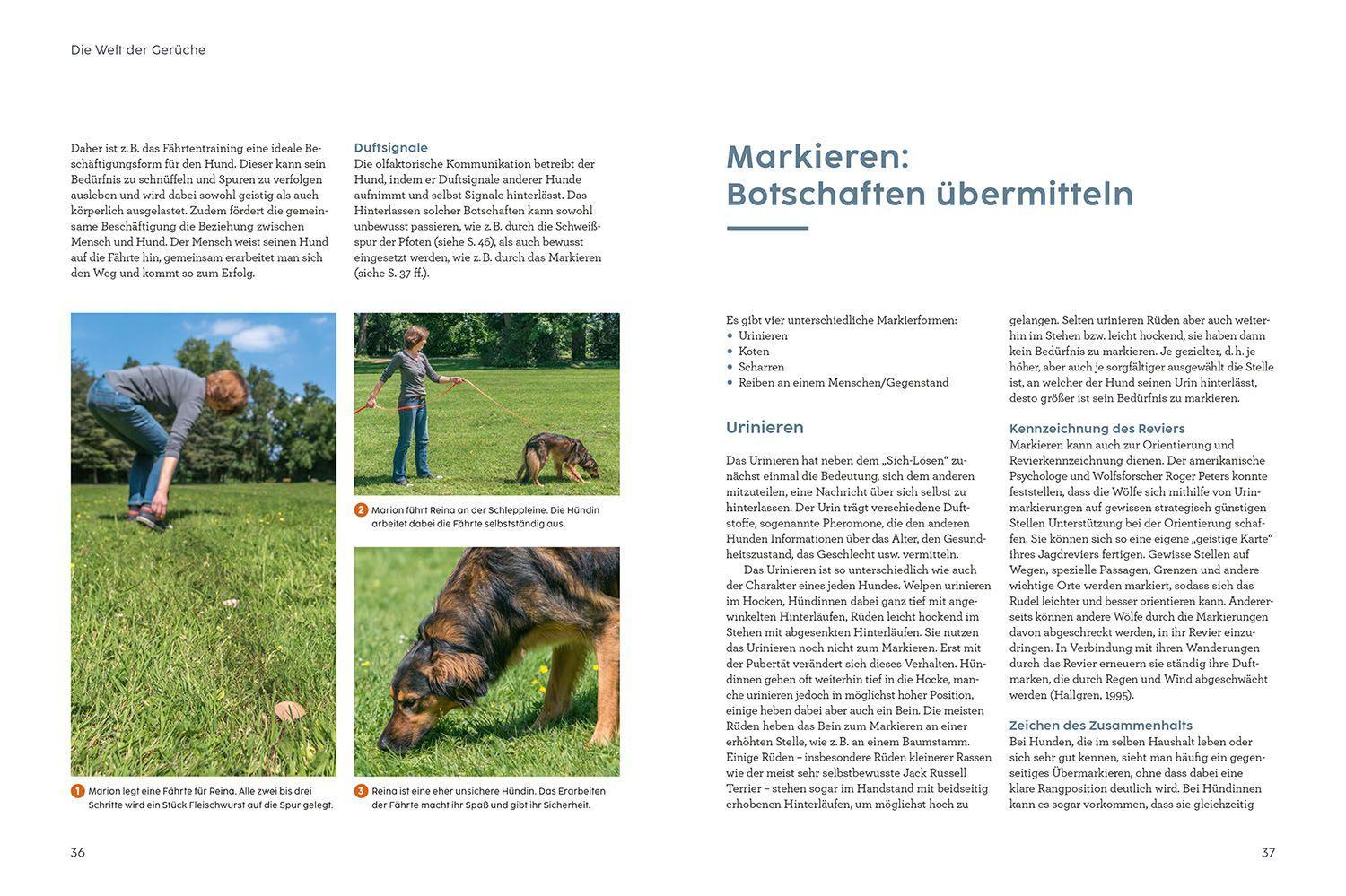 Bild: 9783440174562 | Sprachkurs Hund mit Martin Rütter | Körpersprache und Kommunikation