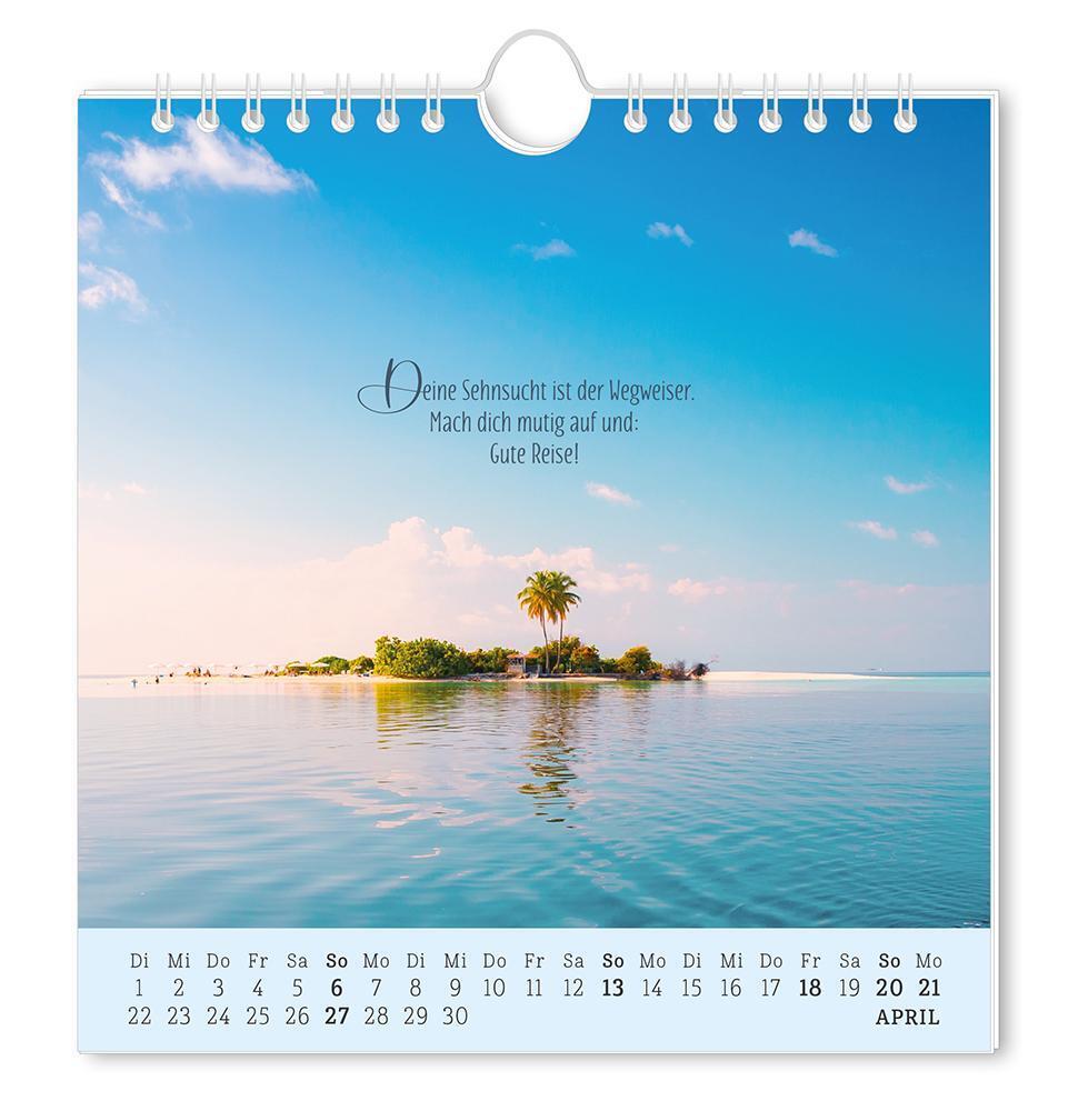 Bild: 9783986361181 | Postkartenkalender 2025 Lebenszeichen | Postkartenkalender | Original