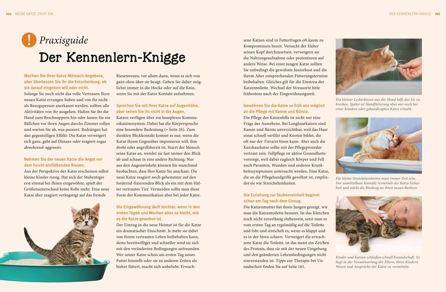 Bild: 9783833828751 | Katzen. Das große Praxishandbuch | Gerd Ludwig | Buch | 288 S. | 2016