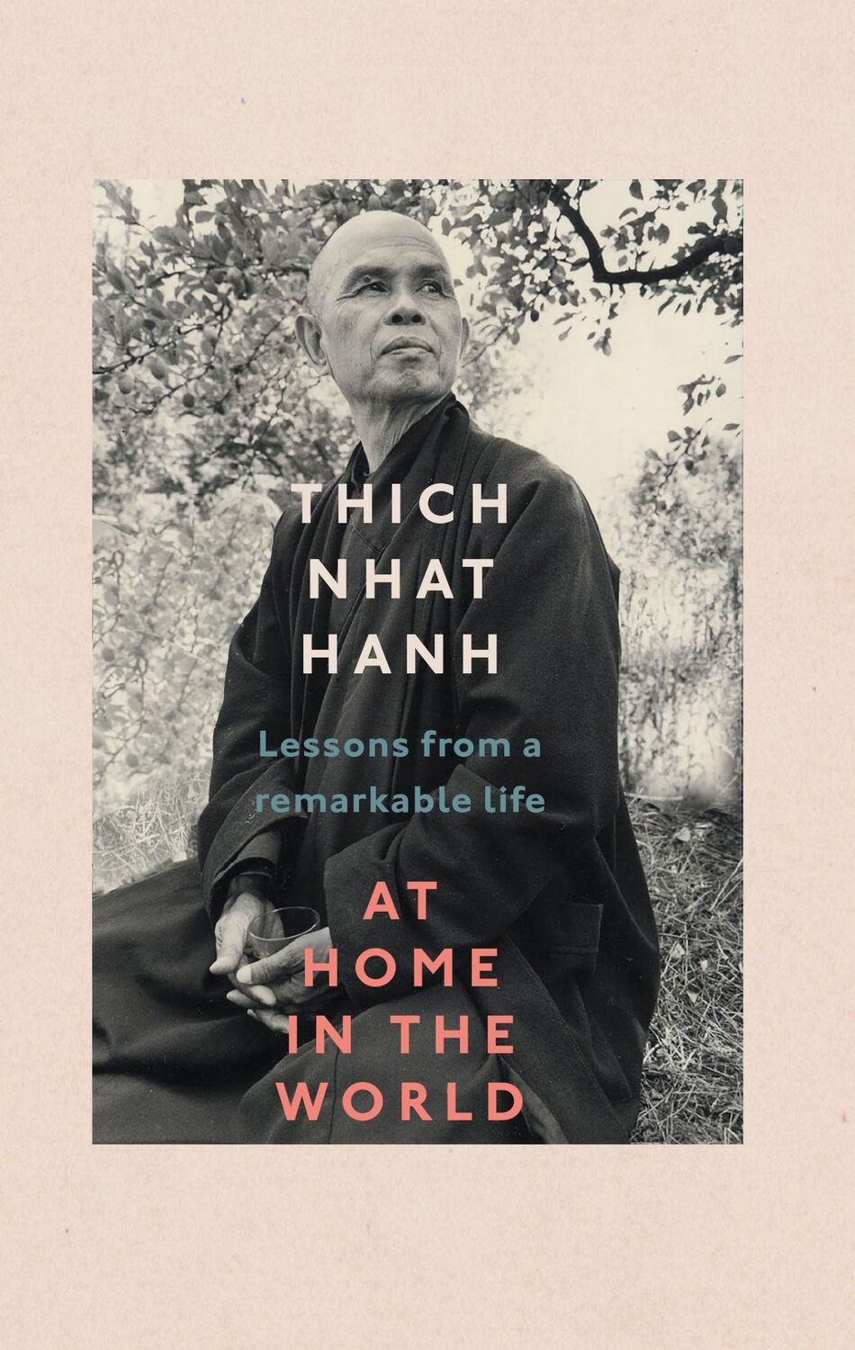 Cover: 9781846046803 | At Home In The World | Lessons from a remarkable life | Hanh | Buch