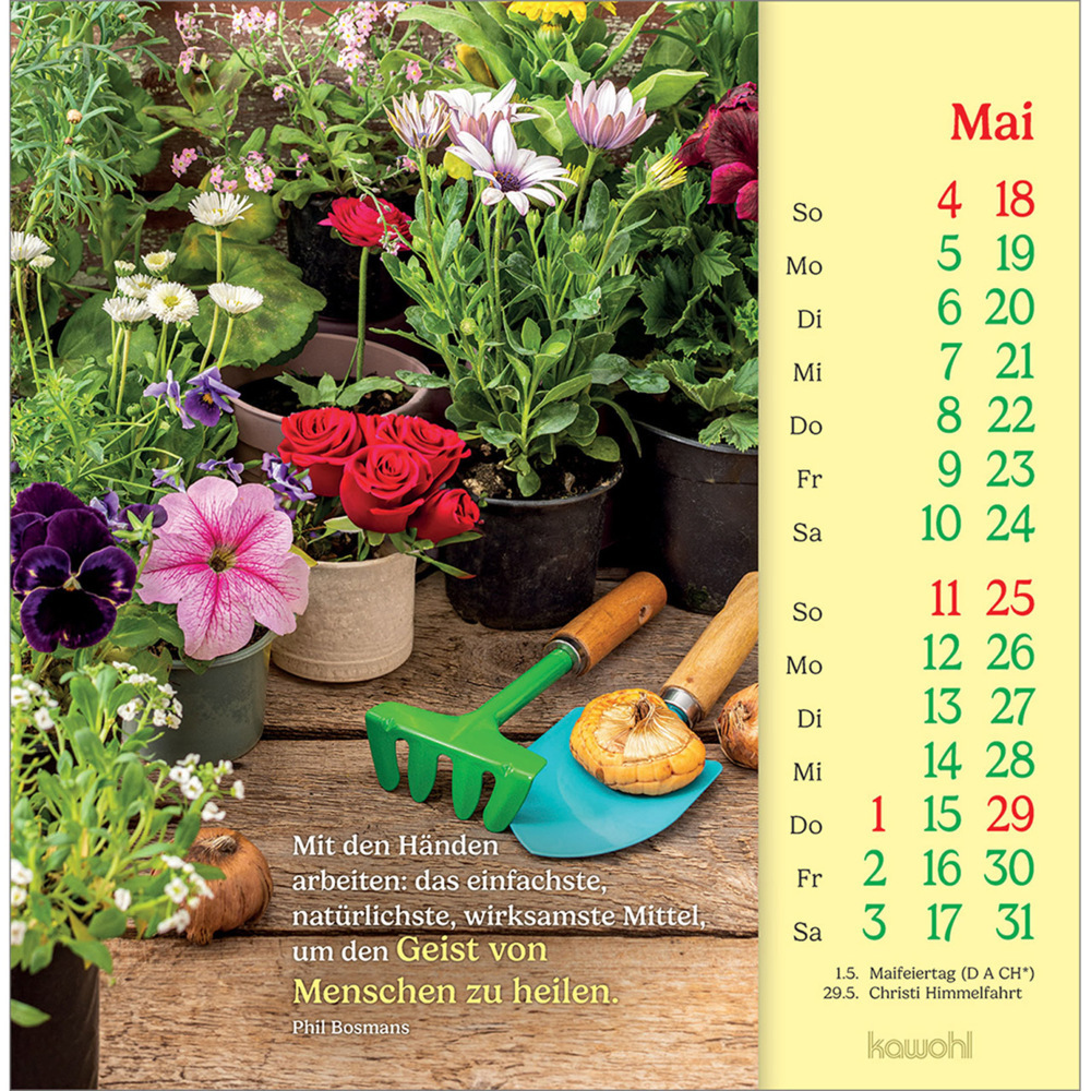 Bild: 9783754838051 | Phil Bosmans Postkartenkalender 2025 | Kalender | 13 S. | Deutsch