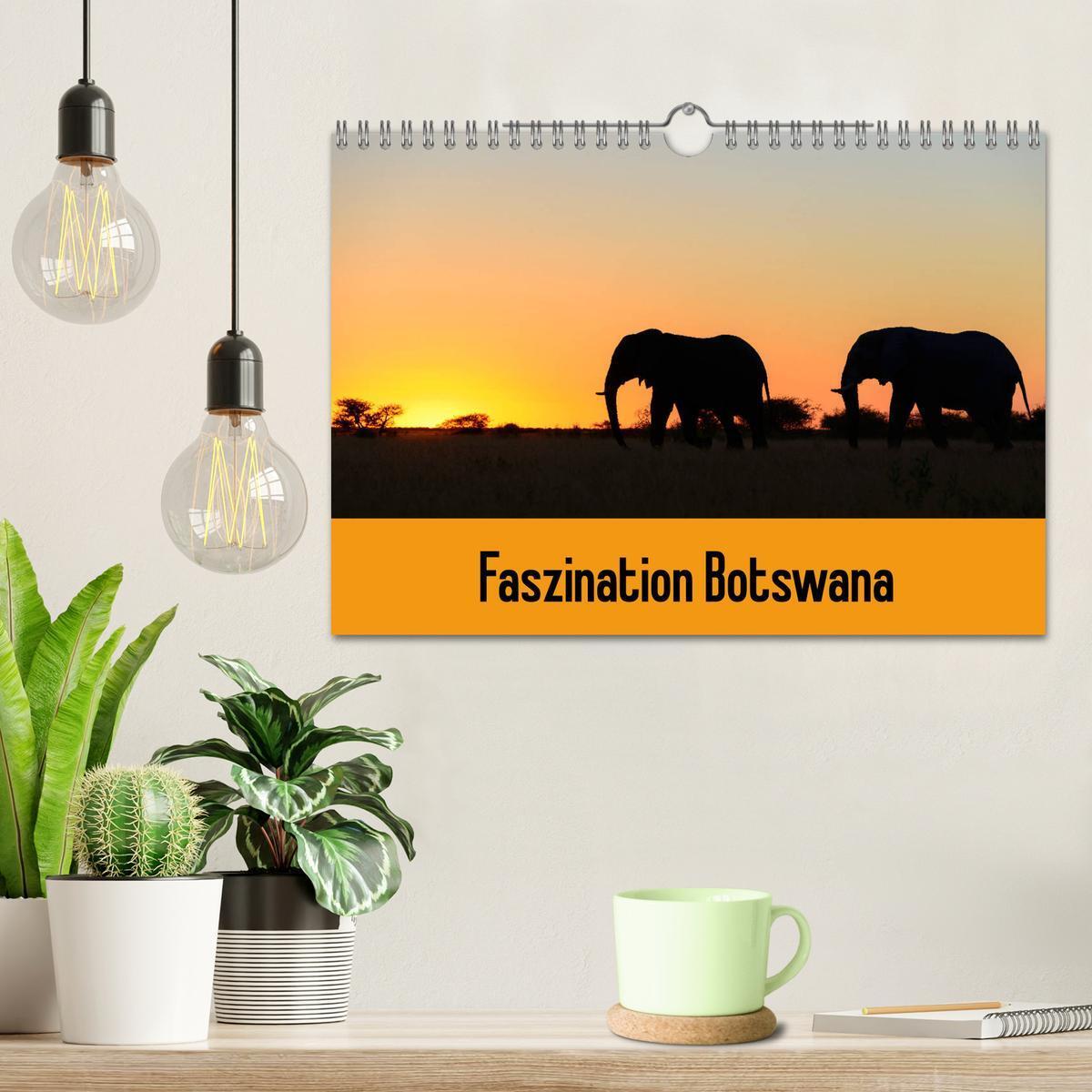 Bild: 9783435452514 | Faszination Botswana (Wandkalender 2025 DIN A4 quer), CALVENDO...