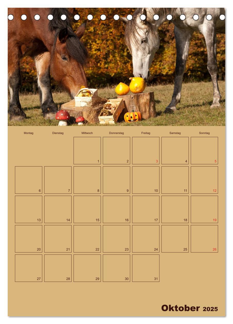 Bild: 9783457030592 | Pferde Gute Freunde (Tischkalender 2025 DIN A5 hoch), CALVENDO...