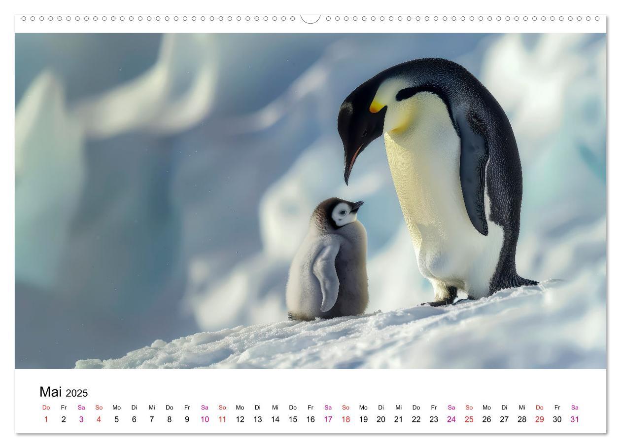 Bild: 9783457164495 | Maritim pur - Pinguine (hochwertiger Premium Wandkalender 2025 DIN...