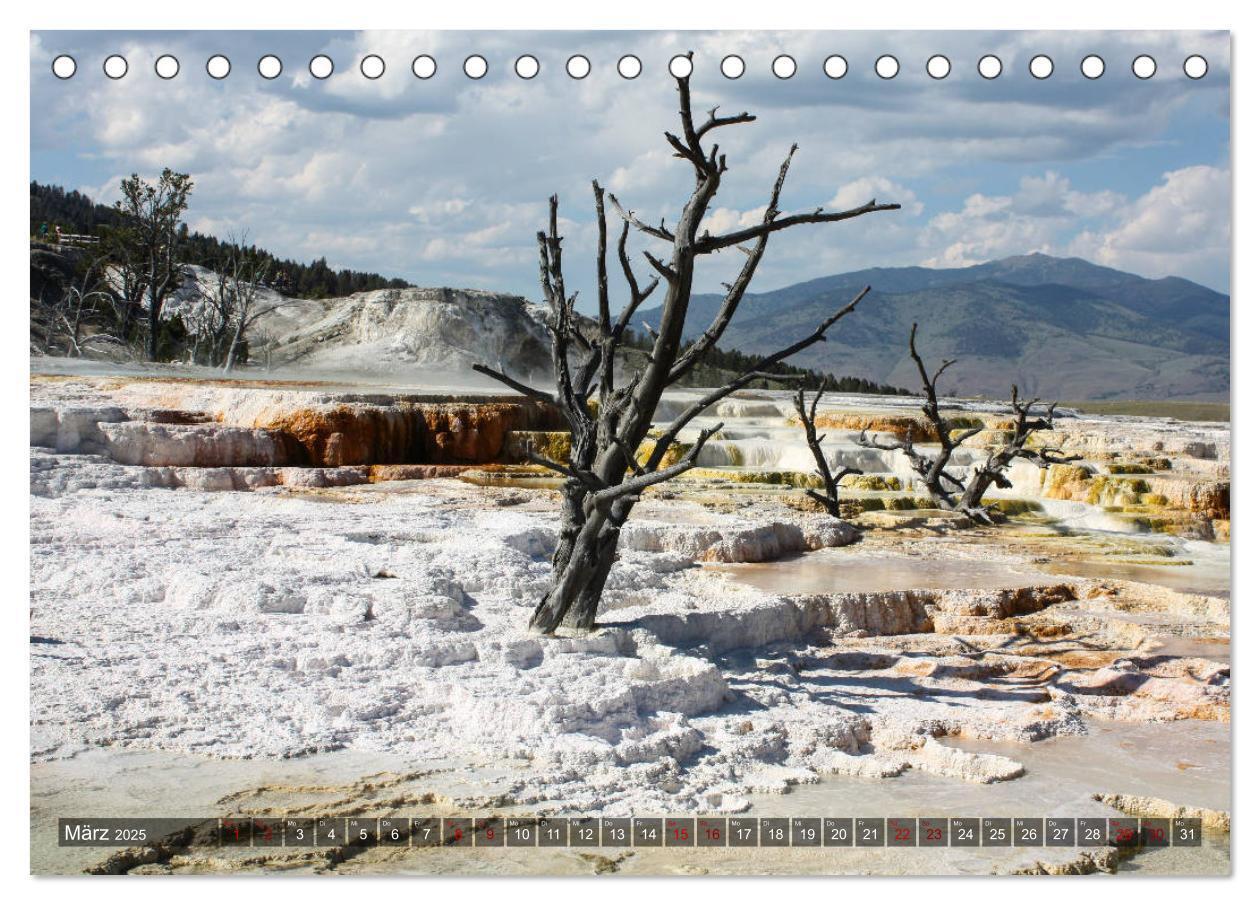 Bild: 9783435385836 | Farben des Yellowstone National Park 2025 (Tischkalender 2025 DIN...