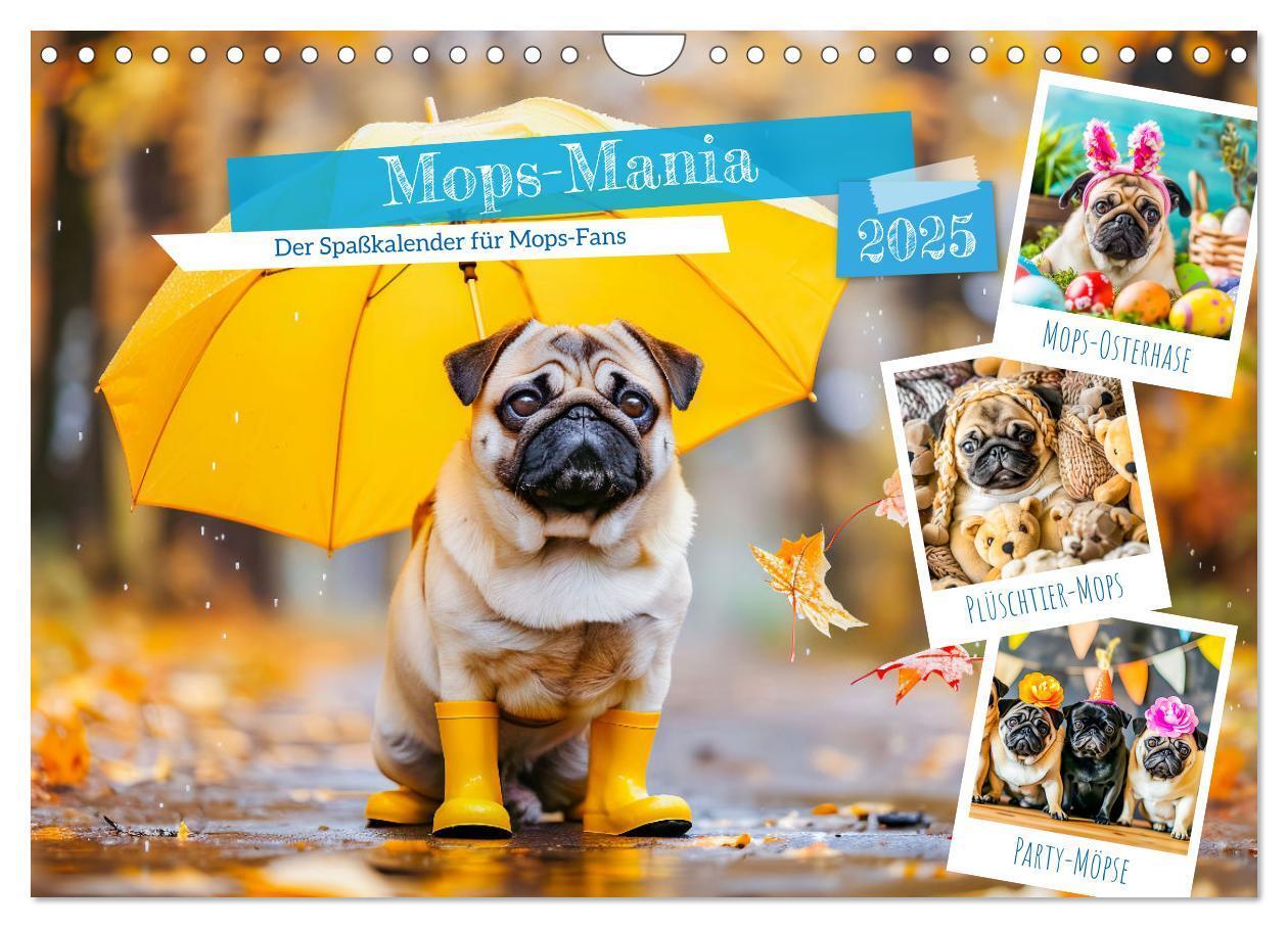 Cover: 9783457171363 | Mops-Mania - Der Spaßkalender für Mops-Fans (Wandkalender 2025 DIN...