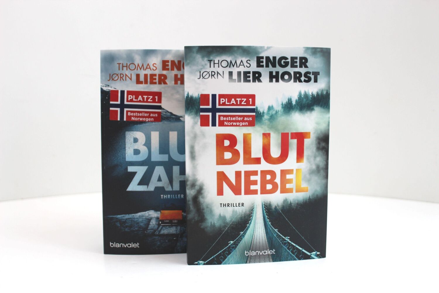 Bild: 9783734108952 | Blutnebel | Thriller - Der Nr.-1-Bestseller aus Norwegen | Taschenbuch