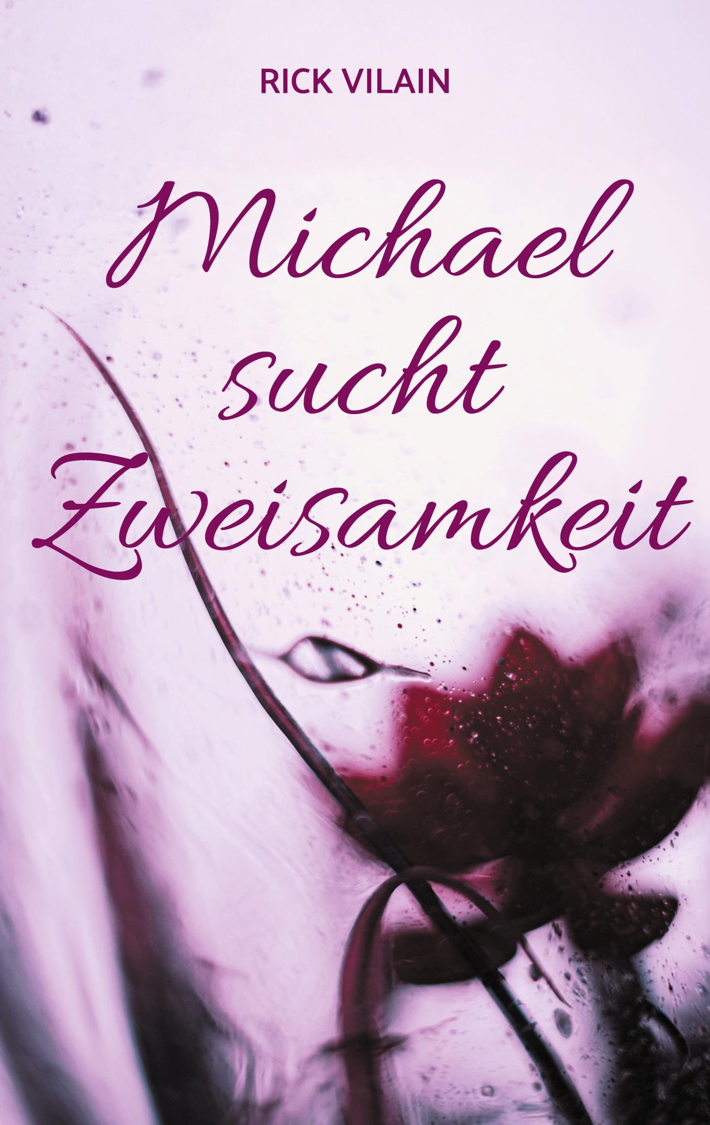 Cover: 9783769324341 | Michael sucht Zweisamkeit | Eine Gay-Romance | Rick Vilain | Buch