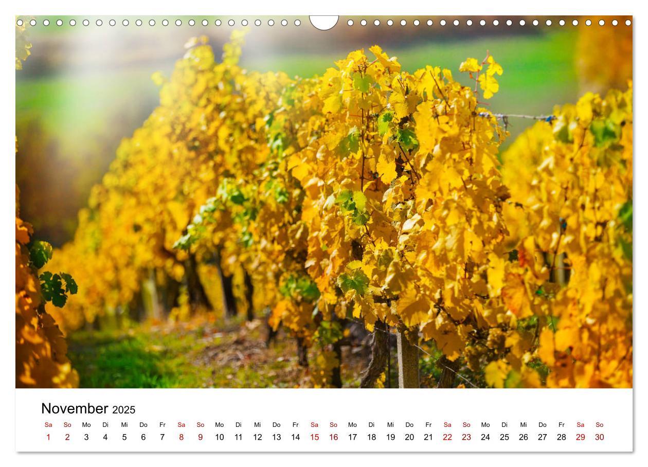 Bild: 9783435404643 | Weinkalender (Wandkalender 2025 DIN A3 quer), CALVENDO Monatskalender