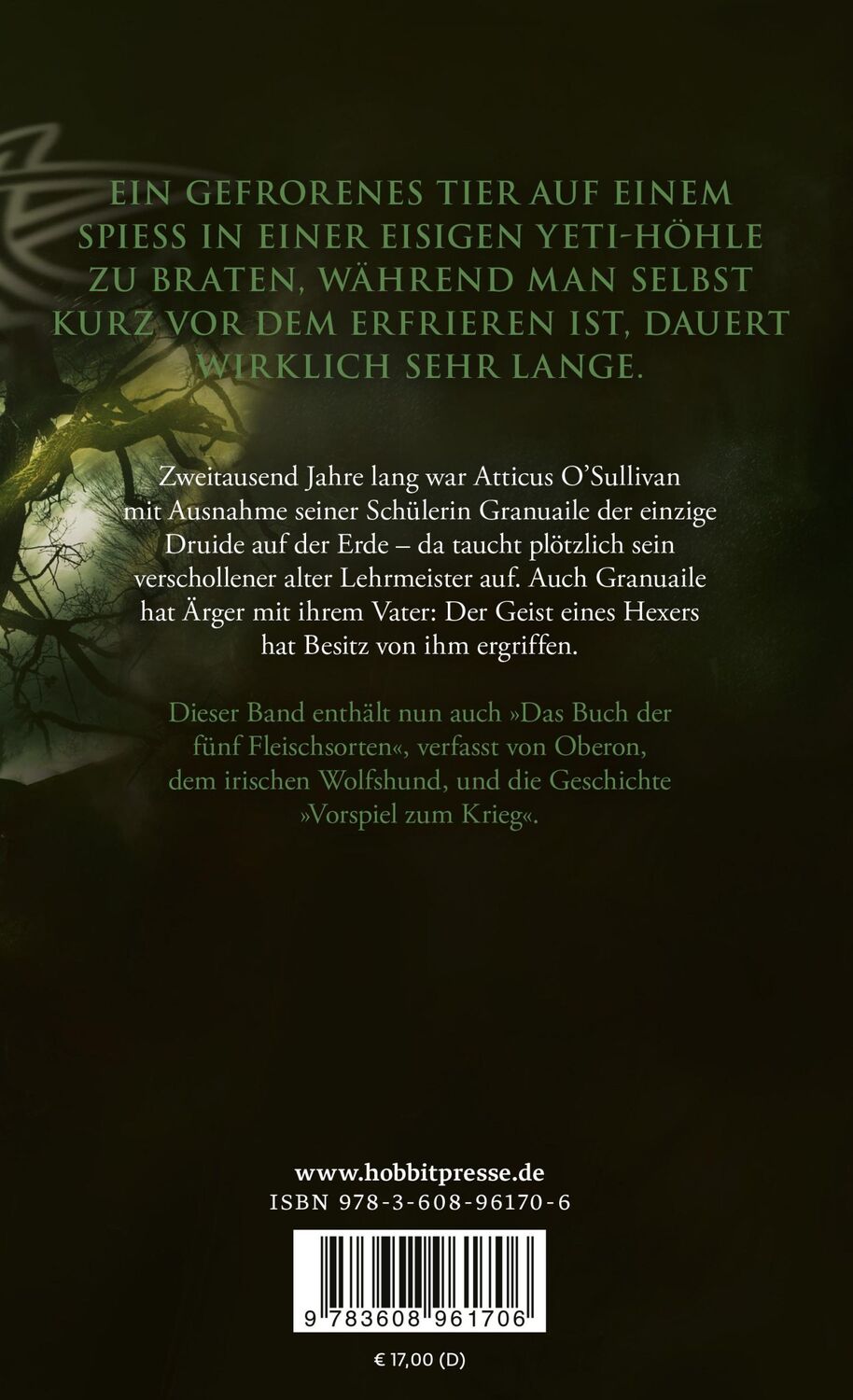 Rückseite: 9783608961706 | Erschüttert. Die Chronik des Eisernen Druiden 7 | Kevin Hearne | Buch