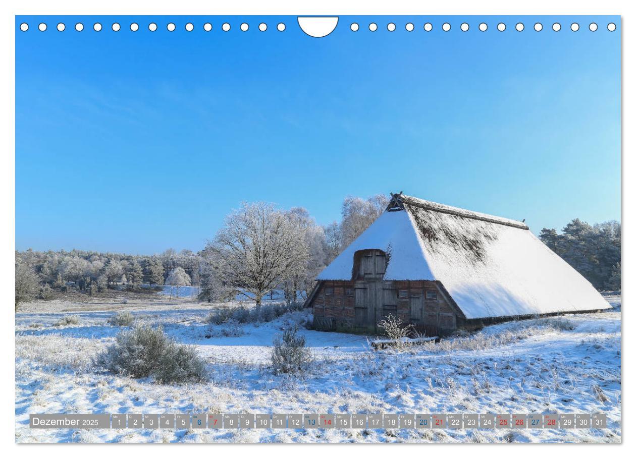 Bild: 9783435458776 | Lüneburger Heide - Faszinierend schön (Wandkalender 2025 DIN A4...