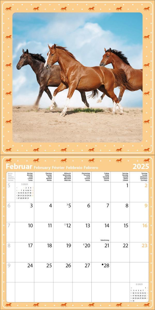 Bild: 9783731880141 | Pferdekalender 2025 | Verlag Korsch | Kalender | 13 S. | Deutsch