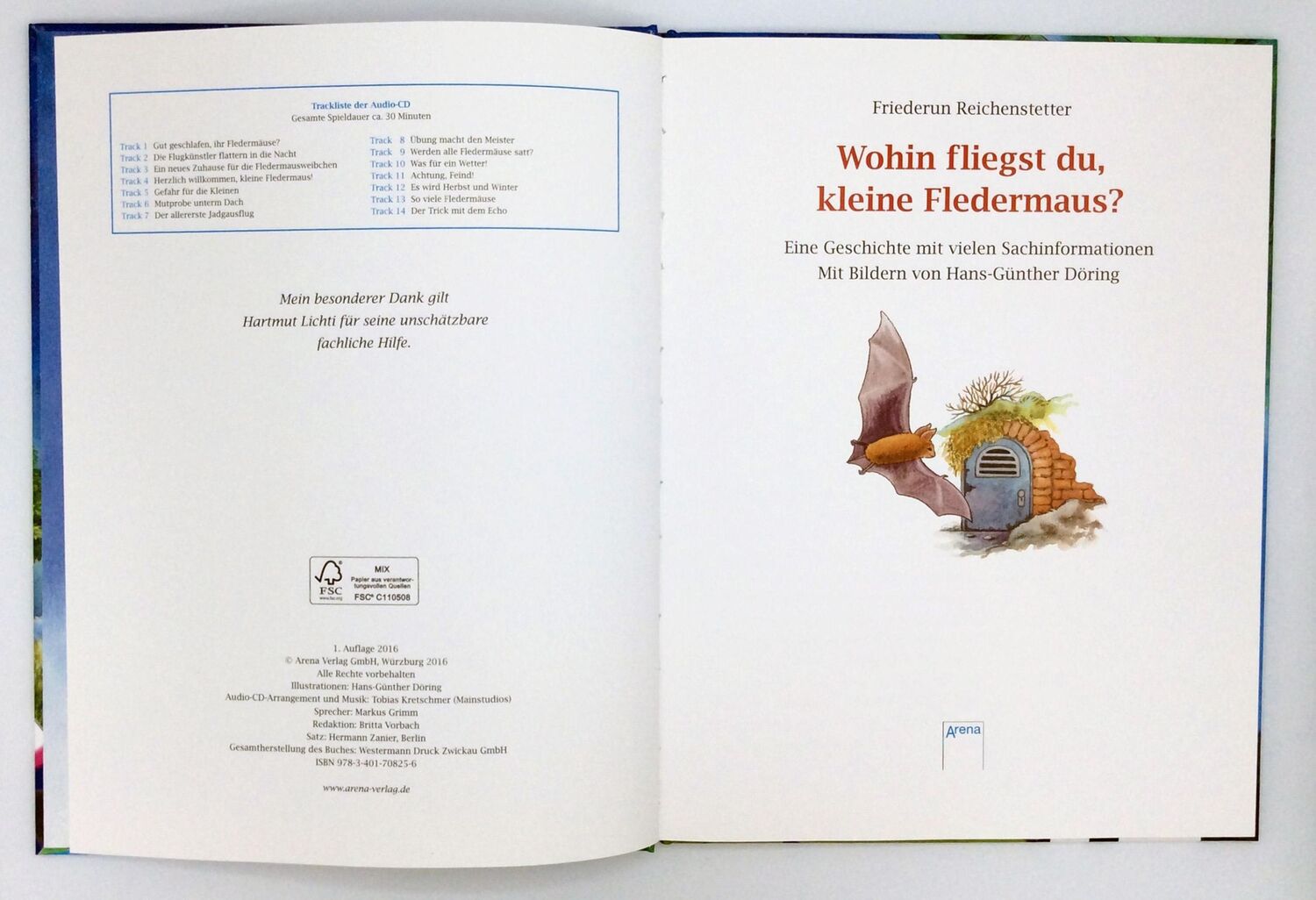 Bild: 9783401708256 | Wohin fliegst du, kleine Fledermaus? | Friederun Reichenstetter | Buch